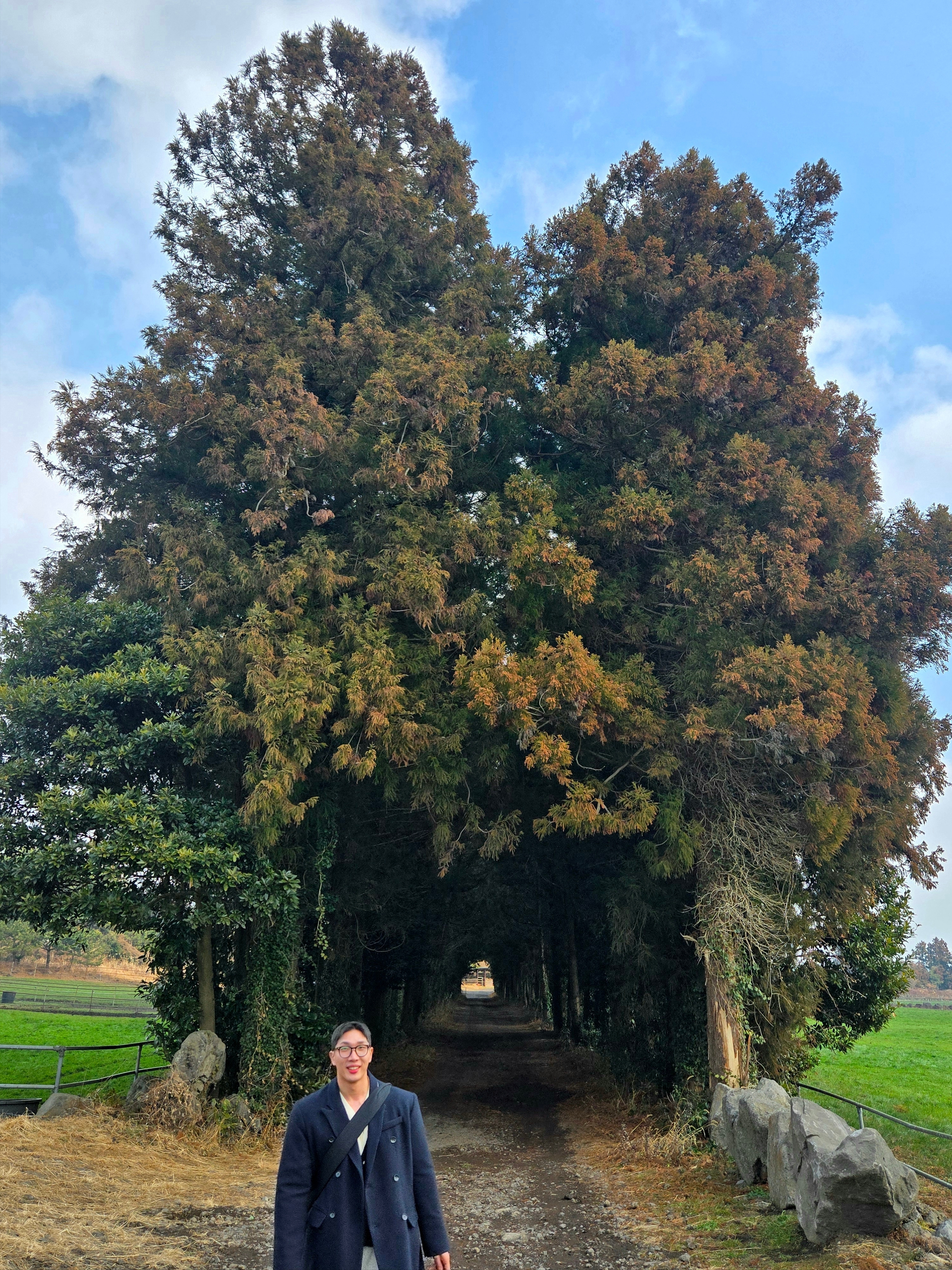 Bottega Veneta Large Arco Padded Tote Bag Black, Thom Browne Donegal Cable 4-Bar V-Neck Cardigan Navy 착용 스타일 - 3
