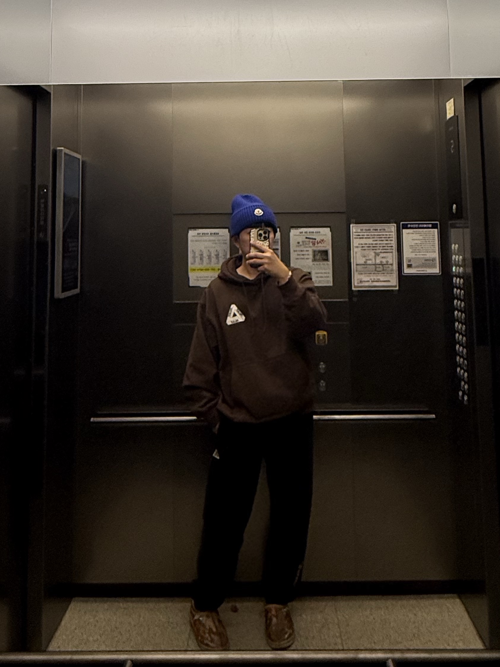 팔라스 트라이 엔젤릭 후드 스카이라인 폭스 - 25FW | Palace | KREAM