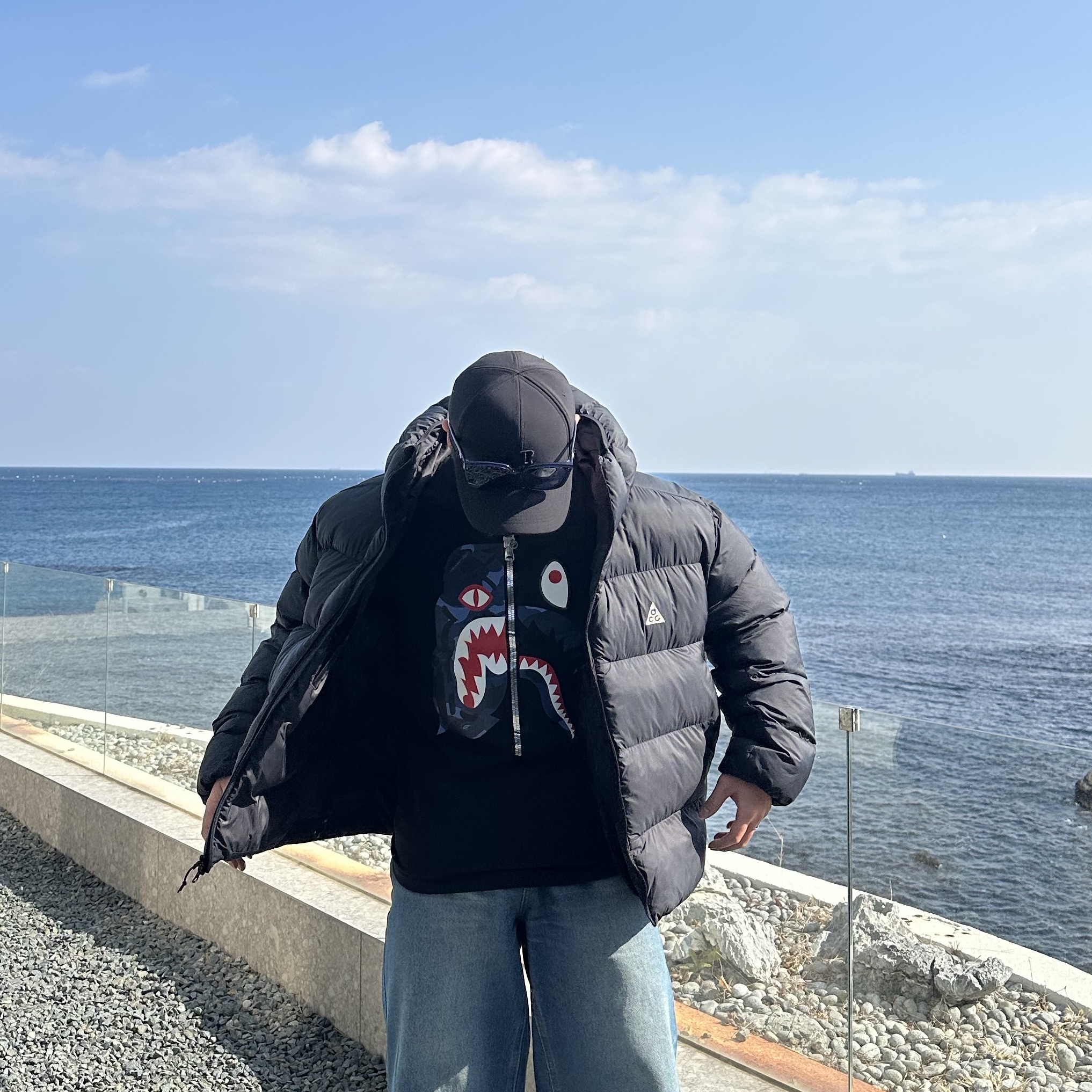 BAPE Color Camo Tiger Shark T-Shirt Black Navy, Nike ACG Therma-Fit ADV Lunar Lake Loose Hooded Jacket Black Summit White - Asia 착용 스타일 - 1