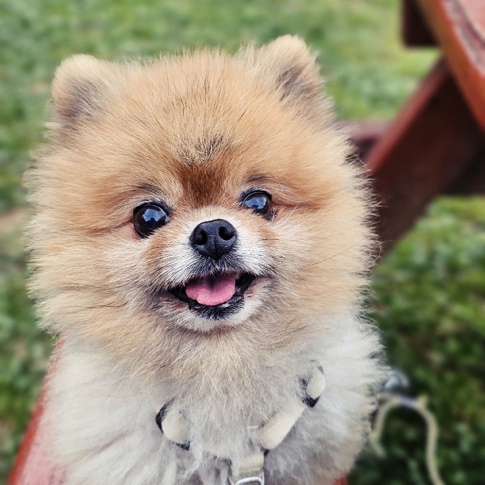 관심 유저 프로필 이미지