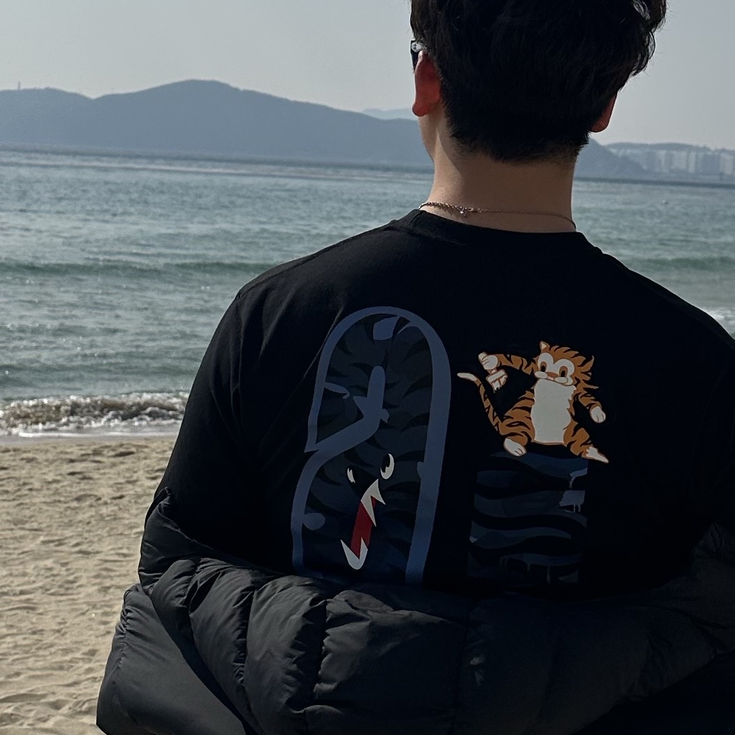 BAPE Color Camo Tiger Shark T-Shirt Black Navy, Nike ACG Therma-Fit ADV Lunar Lake Loose Hooded Jacket Black Summit White - Asia 착용 스타일 - 2