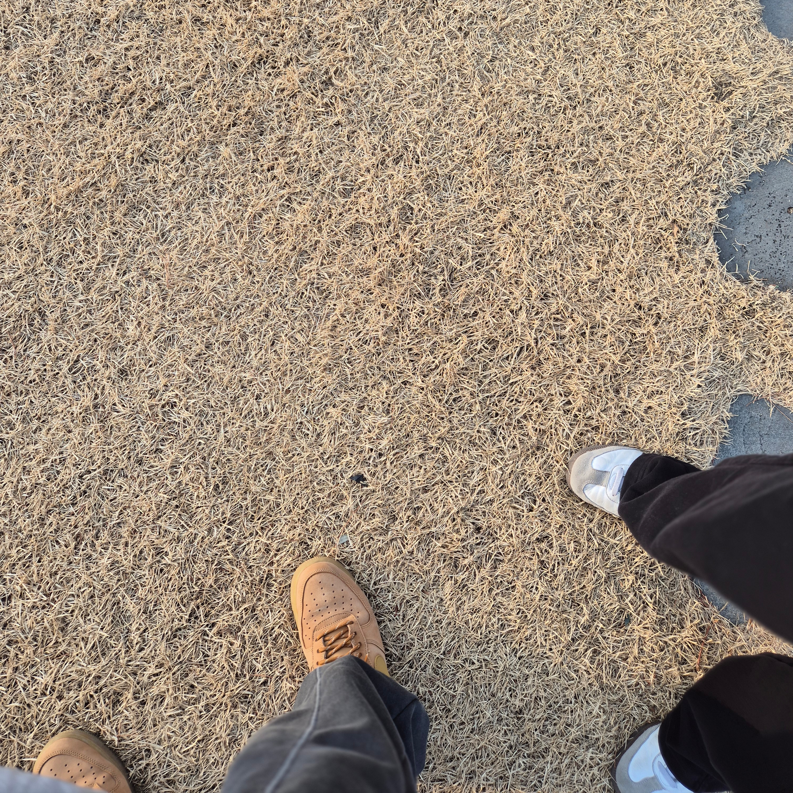 Nike Air Force 1 '07 WB Flax, Nike NSW Trend WC 1 Jacket Midnight Navy - Asia 착용 스타일 - 5