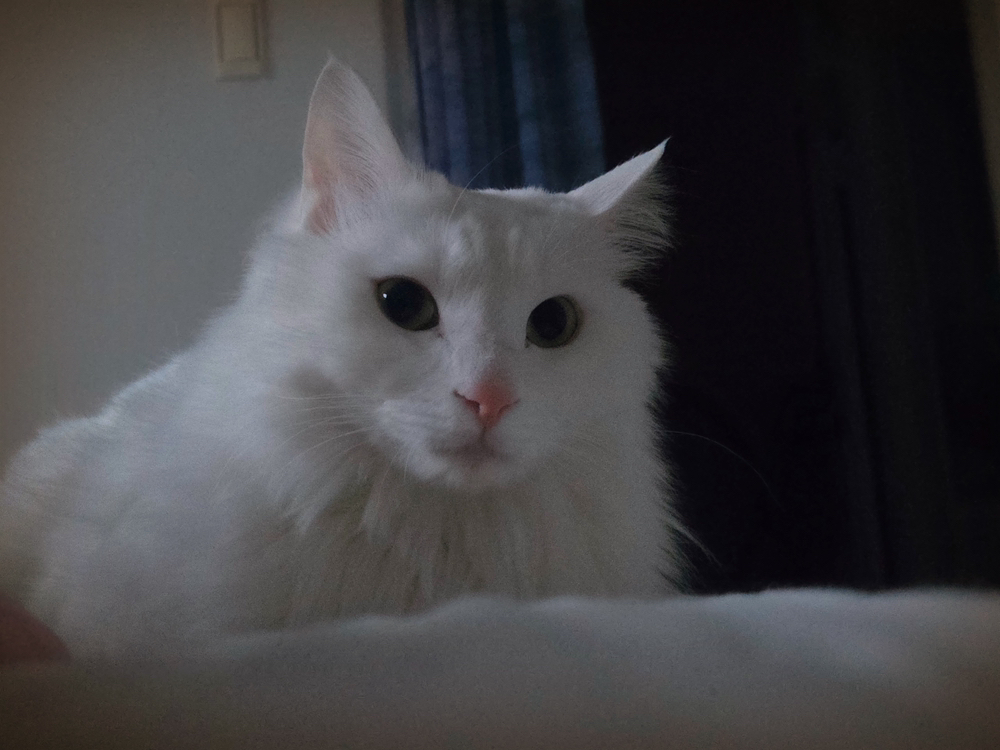 관심 유저 프로필 이미지