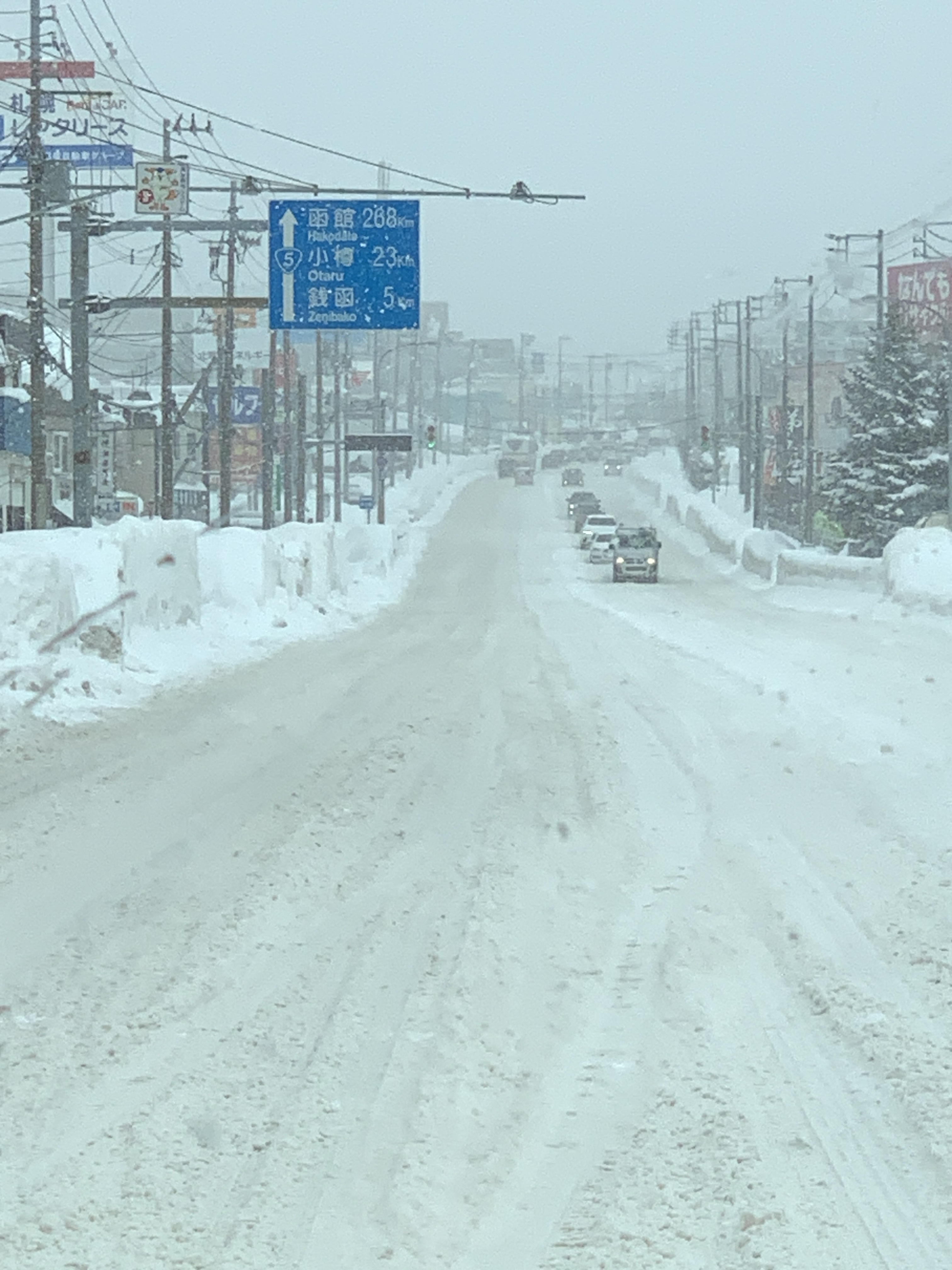 The North Face Borealis Short Boots Black ์ฐฉ์ฉ ์คํ์ผ - 3