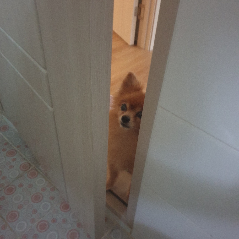 관심 유저 프로필 이미지