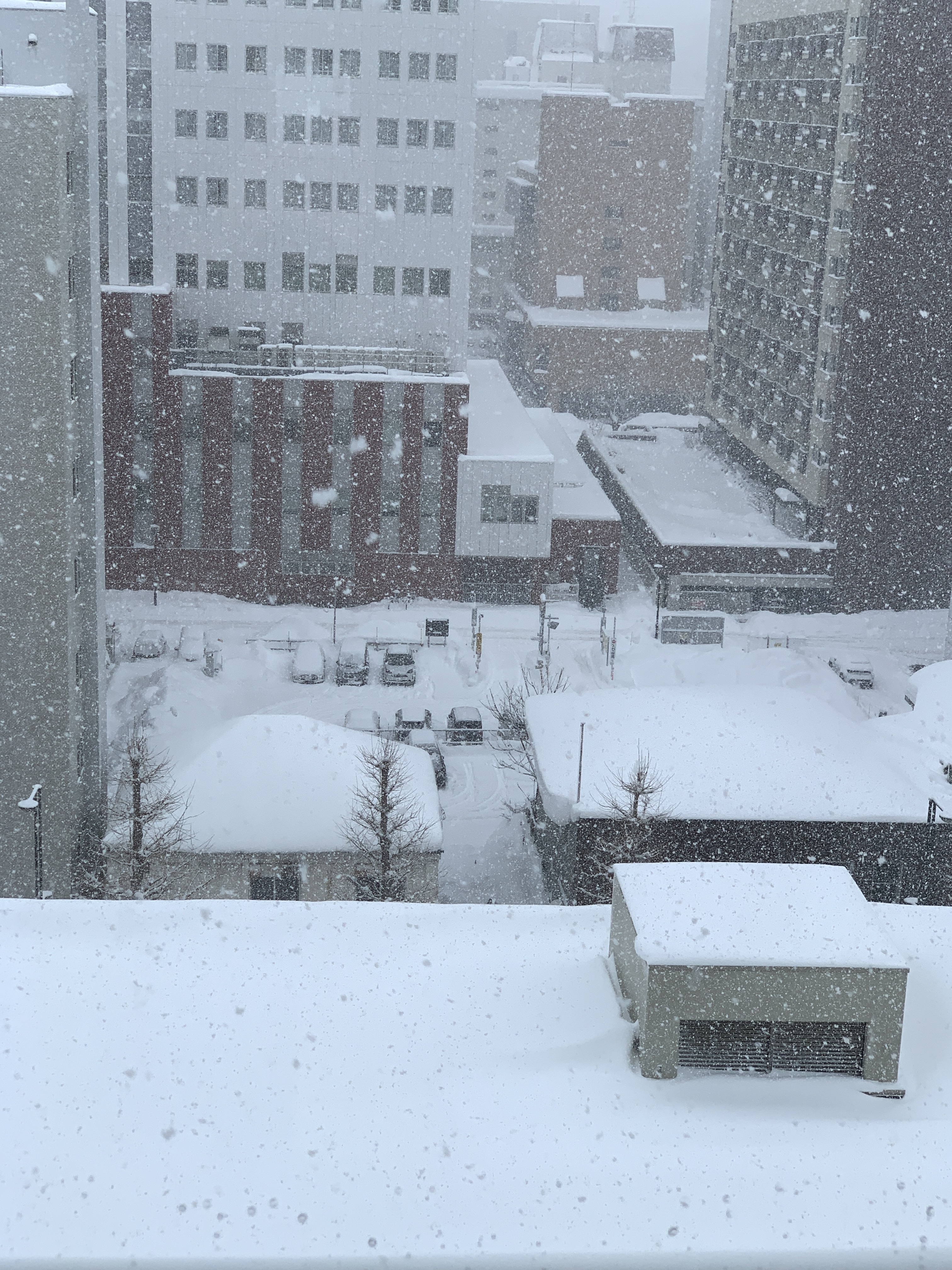 The North Face Borealis Short Boots Black ์ฐฉ์ฉ ์คํ์ผ - 1