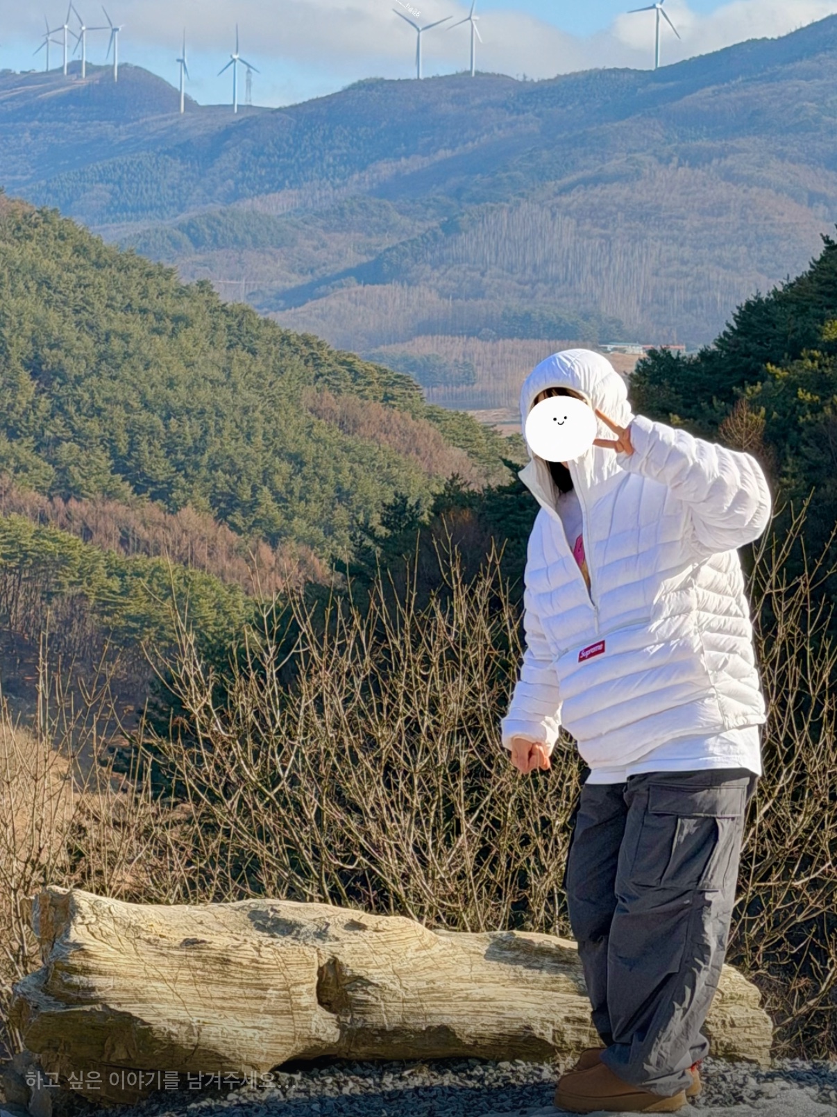 Supreme Micro Down Half Zip Hooded Pullover White - 23FW, (W) UGG Tazz II Chestnut 착용 스타일