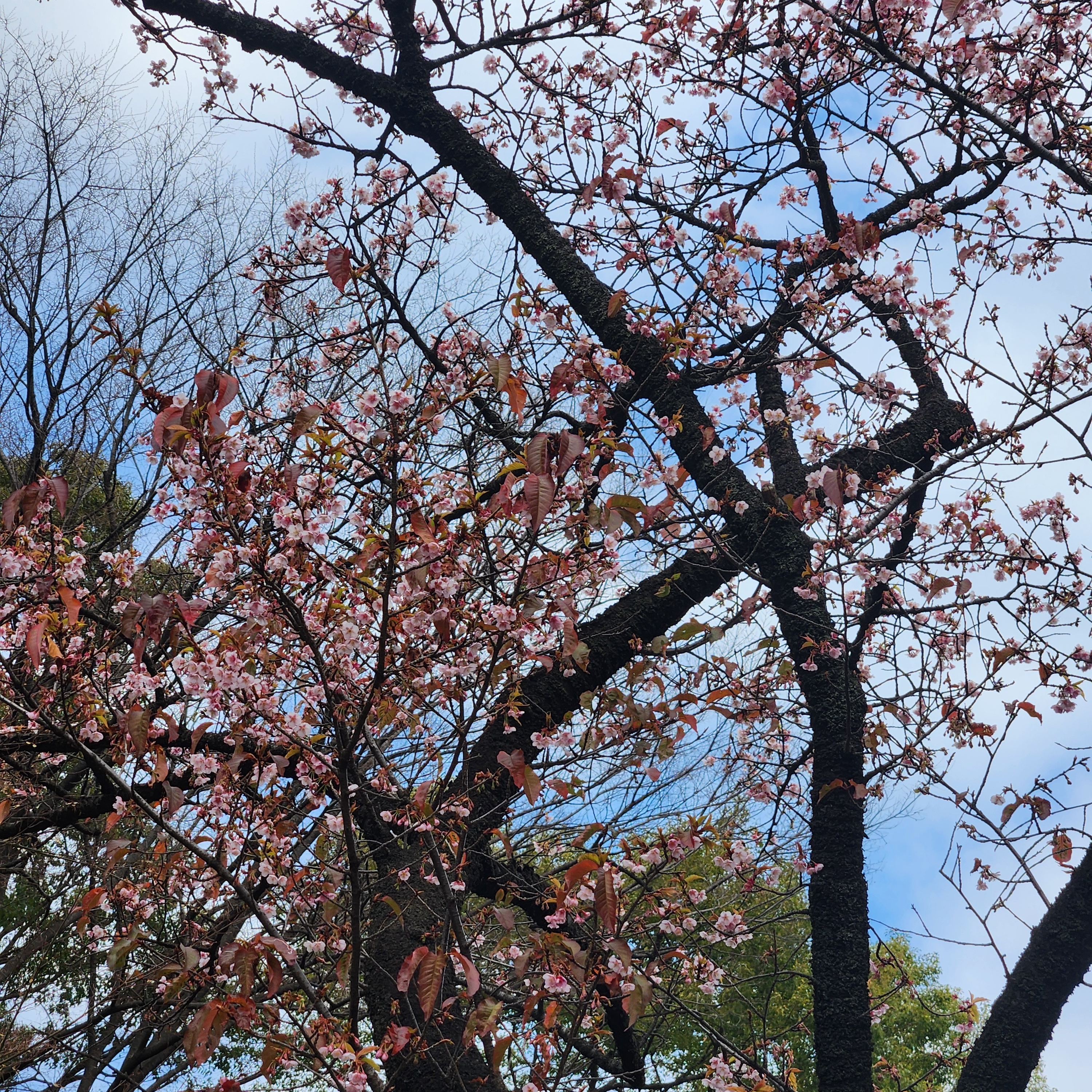JustDoIt님의 스타일 - 2