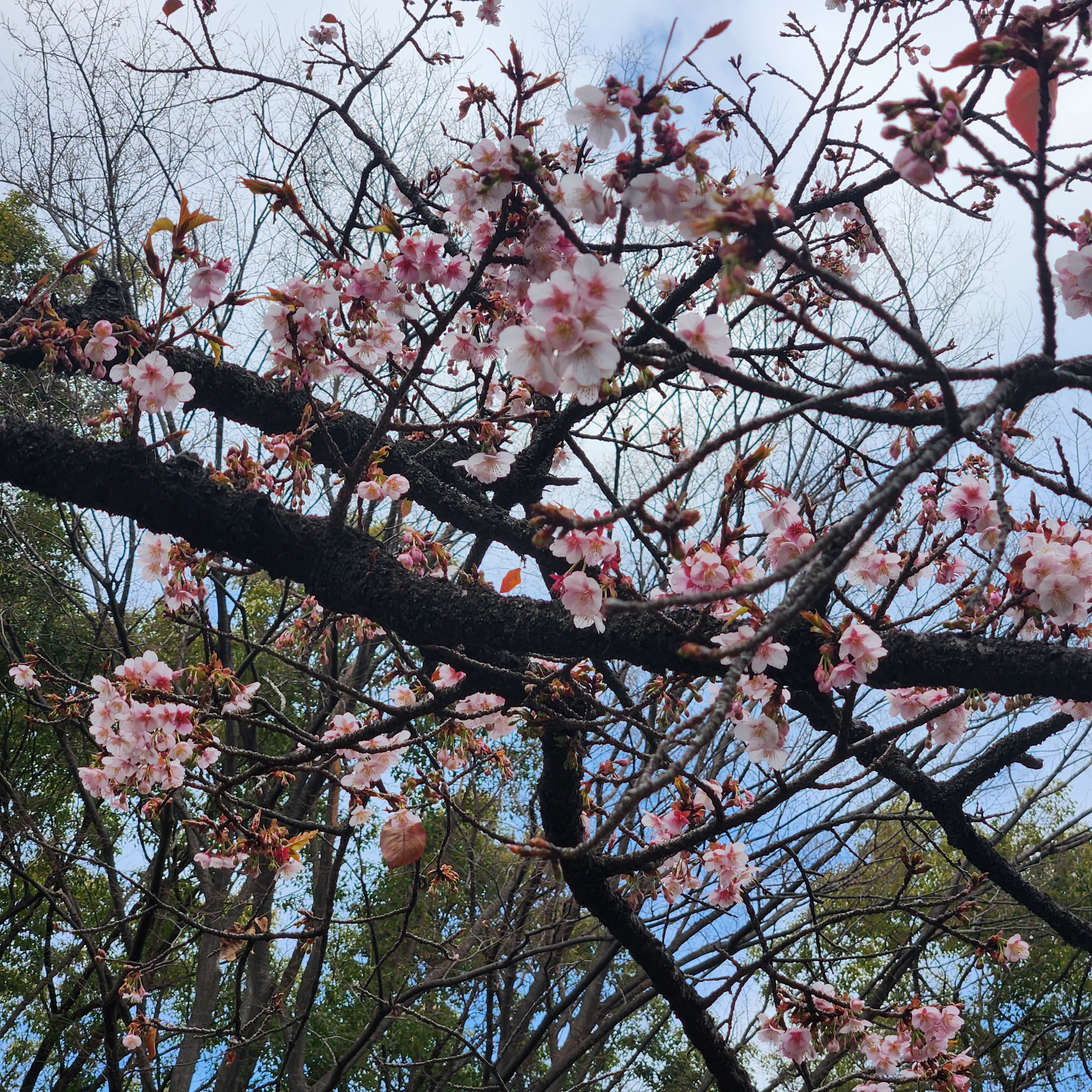 JustDoIt님의 스타일 - 3