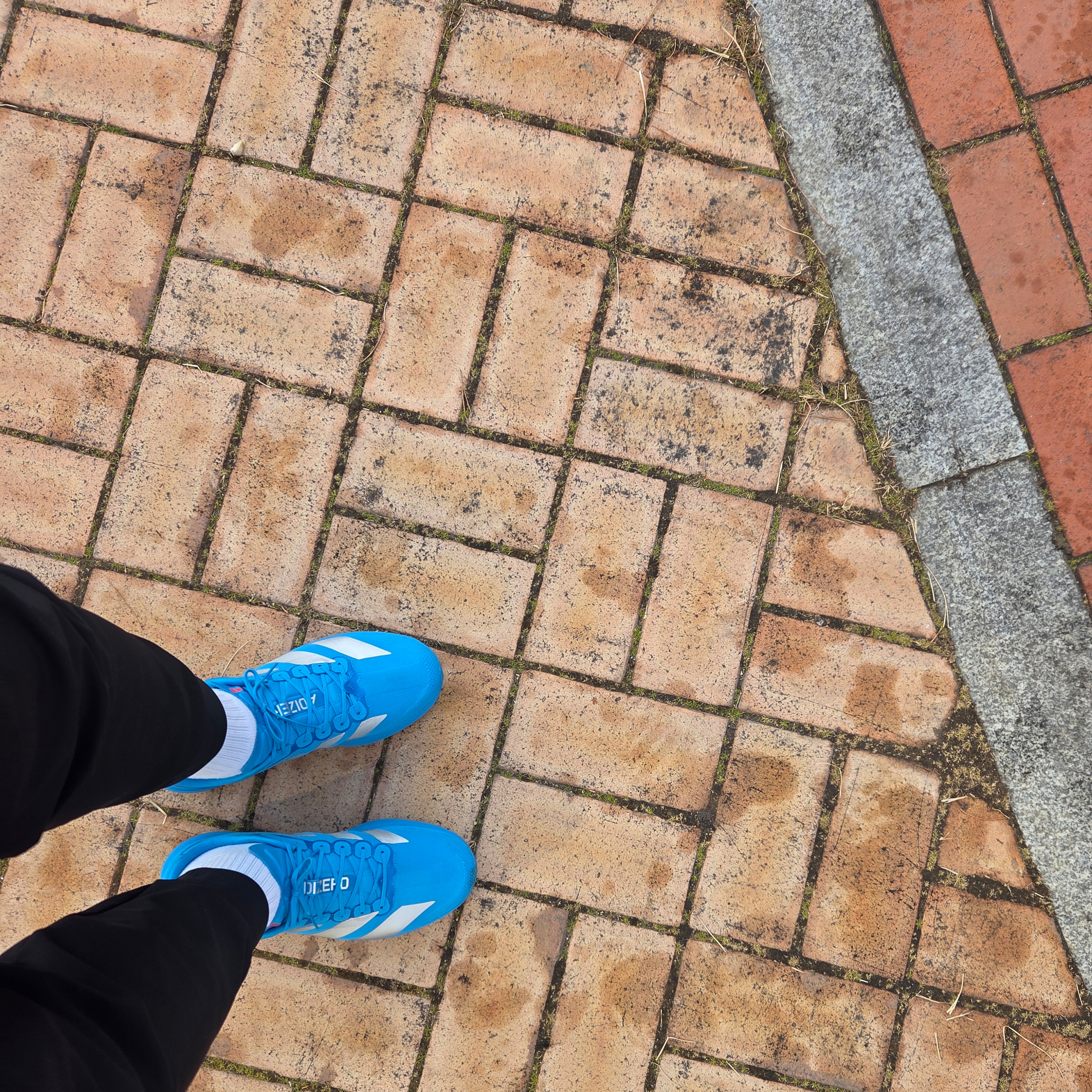 Adidas Adizero EVO SL Woven Solar Blue Silver Metallic 착용 스타일