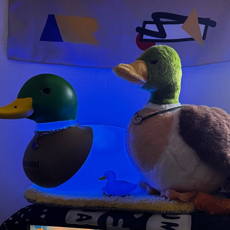 Human Made Rubber Duck Lamp Green, Human Made Duck PVC Key Chain Blue μ°©μ© μ€νμΌ