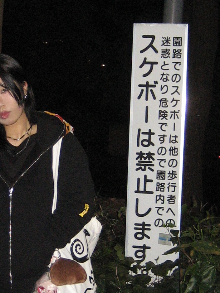 BAPE Tiger Full Zip Hoodie Black 착용 스타일 - 1