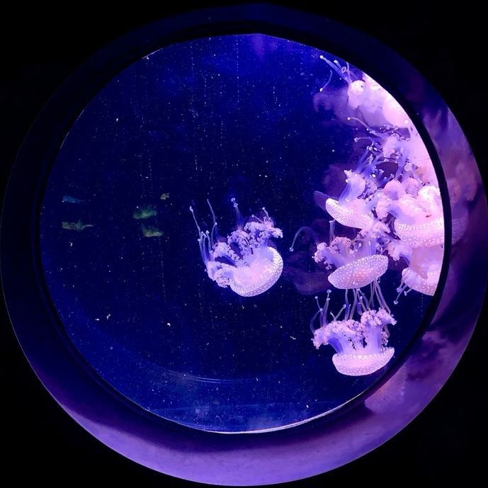 관심 유저 프로필 이미지