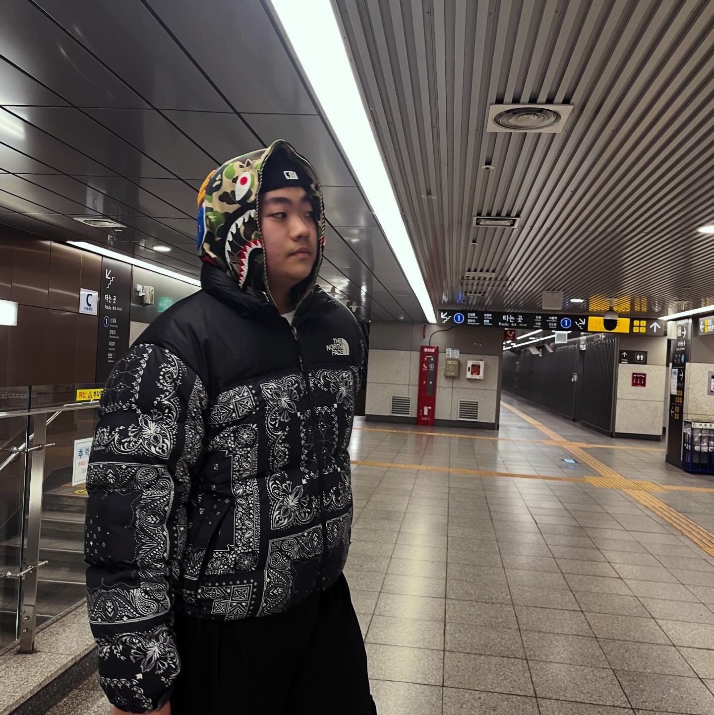 Adidas x BAPE Shark Track Hoodie Jacket Crew Green - KR Sizing, The North Face 1996 Novelty Nuptse Jacket Dark Navy 착용 스타일 - 2