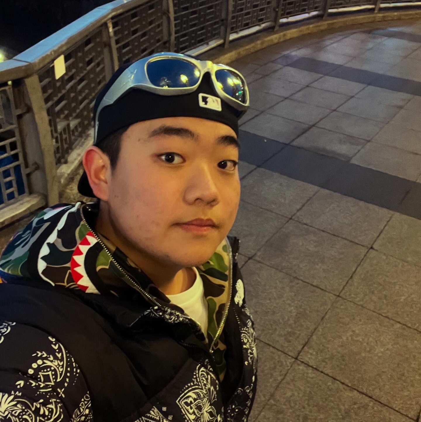 Adidas x BAPE Shark Track Hoodie Jacket Crew Green - KR Sizing, The North Face 1996 Novelty Nuptse Jacket Dark Navy 착용 스타일 - 4