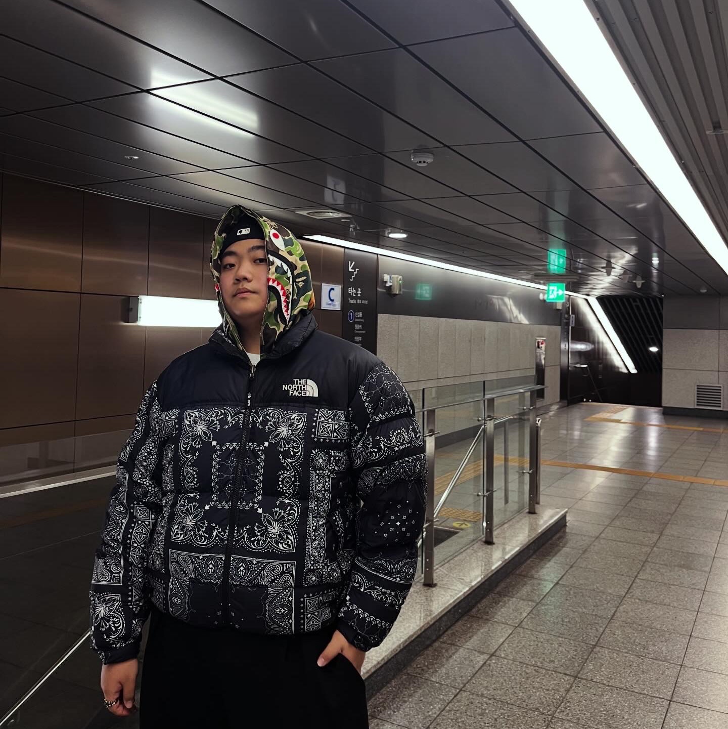 Adidas x BAPE Shark Track Hoodie Jacket Crew Green - KR Sizing, The North Face 1996 Novelty Nuptse Jacket Dark Navy 착용 스타일 - 1