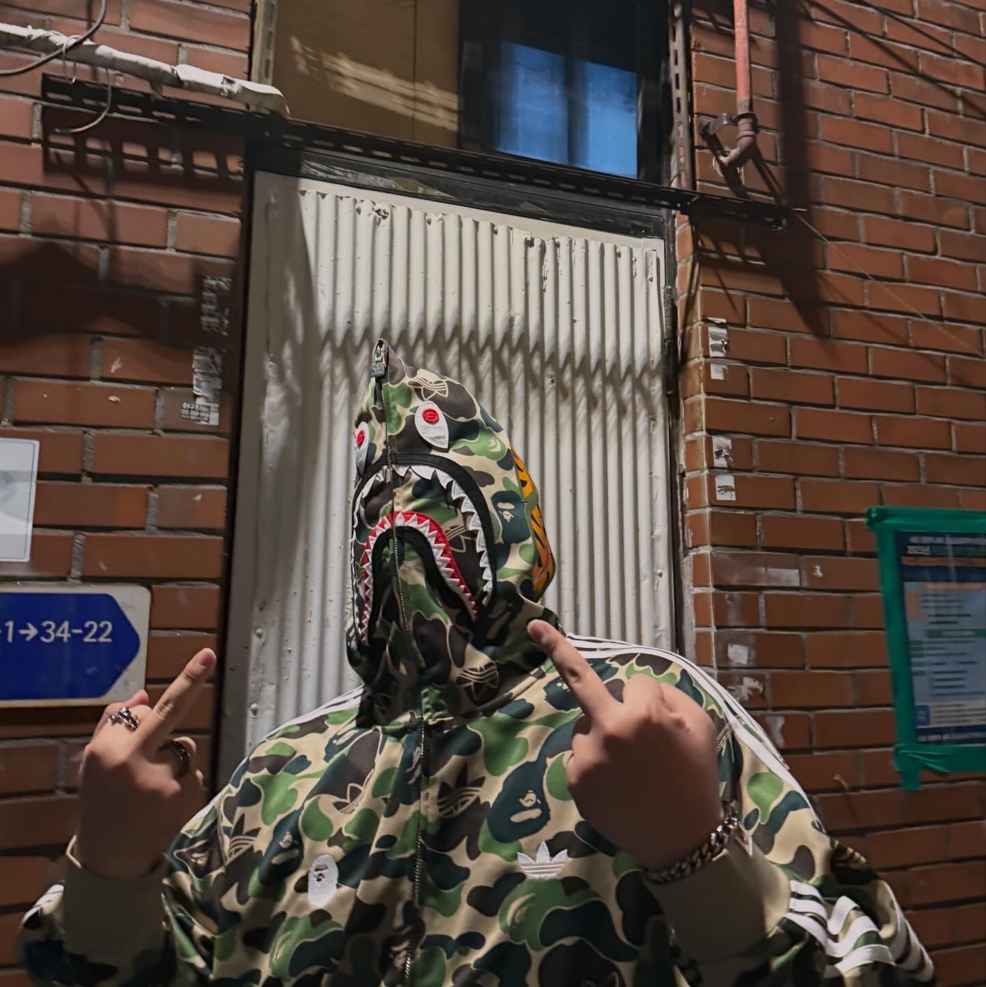 Adidas x BAPE Shark Track Hoodie Jacket Crew Green - KR Sizing, The North Face 1996 Novelty Nuptse Jacket Dark Navy 착용 스타일 - 3