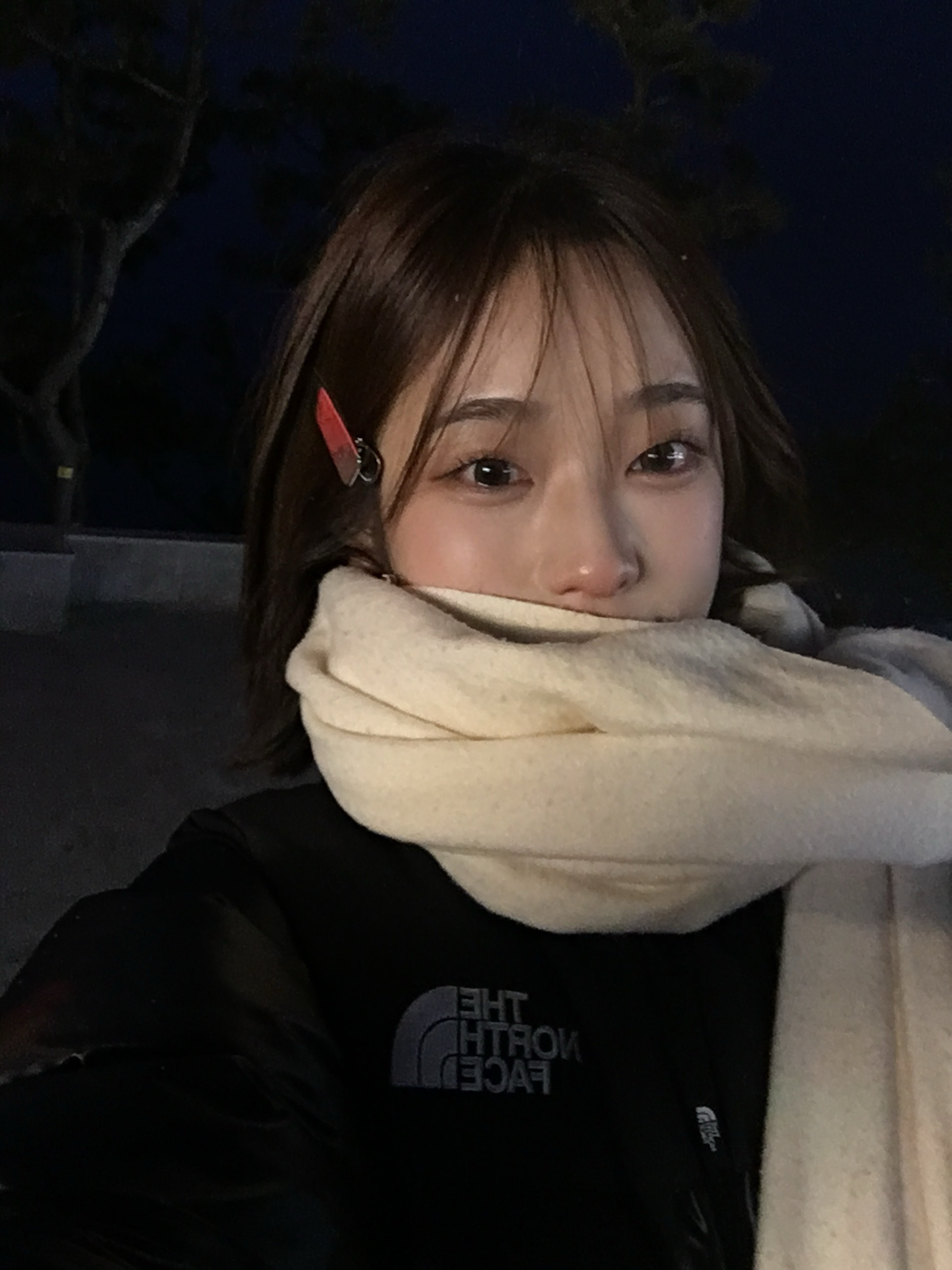 The North Face On Ball Jacket Black 착용 스타일 - 2