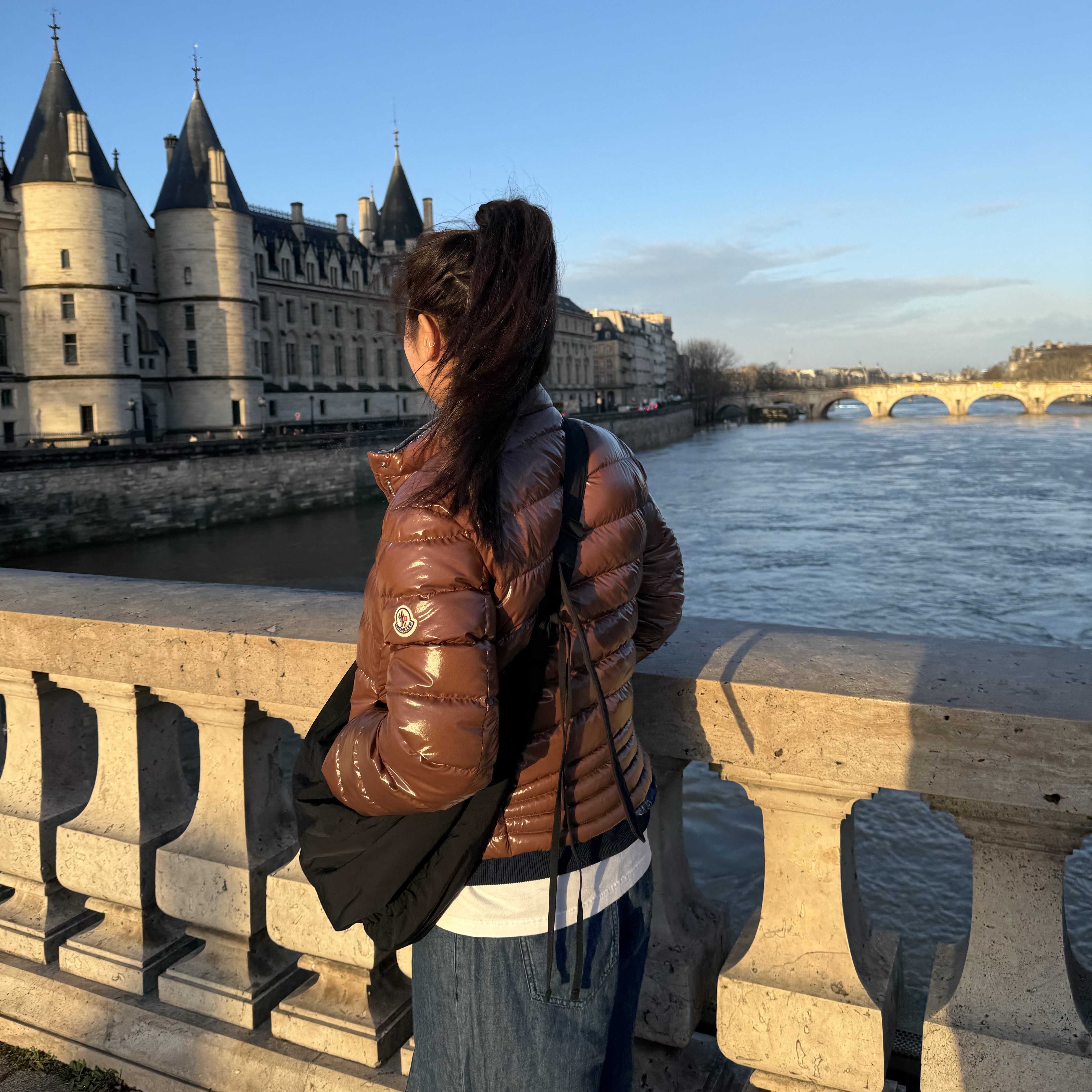 (W) Moncler Papillon Short Down Jacket Brown - 26SS 착용 스타일 - 1