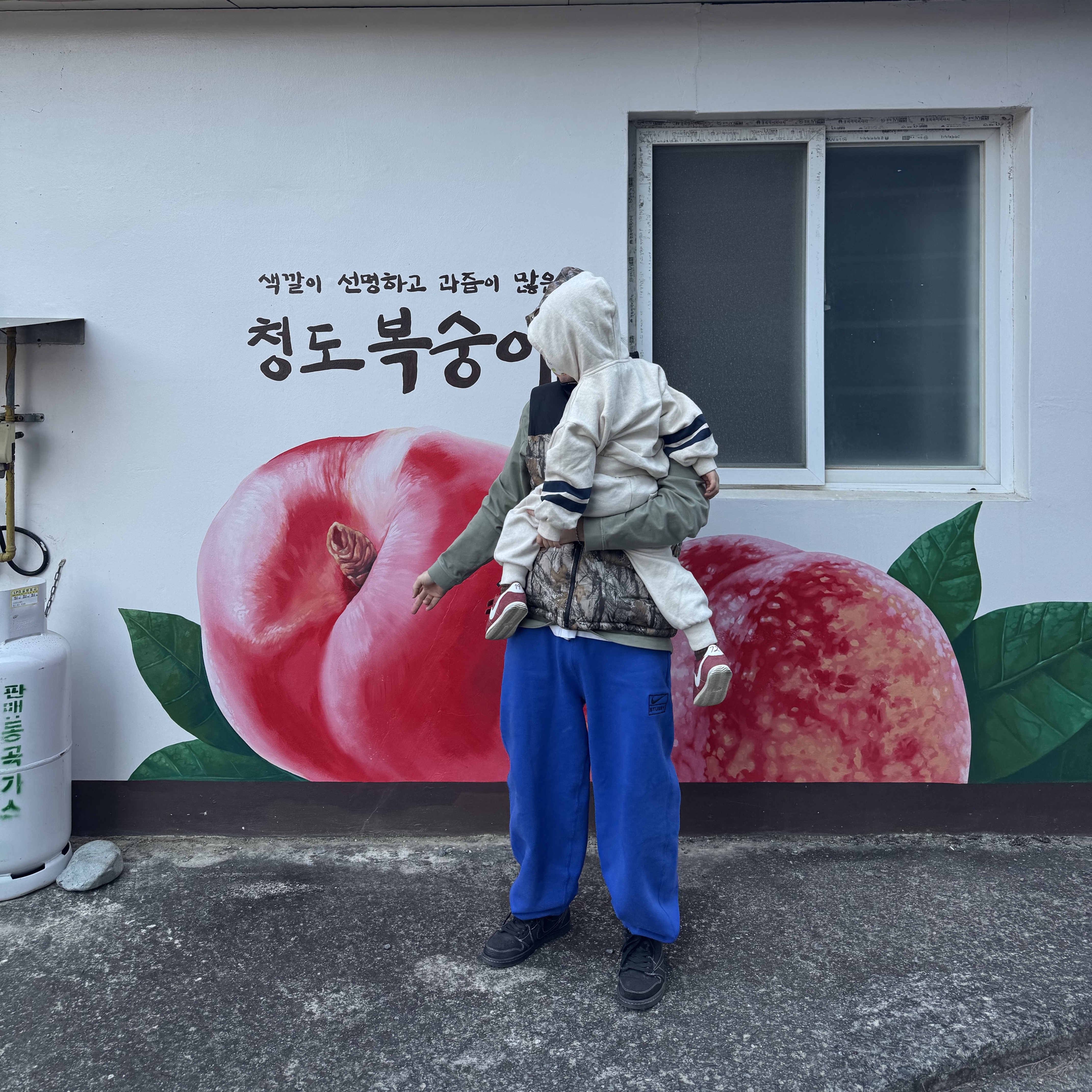 Nike x Stussy NRG Acid Washed Fleece Pants Game Royal (DR4427-480), The North Face 1996 Novelty Nuptse RDS Down Vest Sepia 착용 스타일 - 2