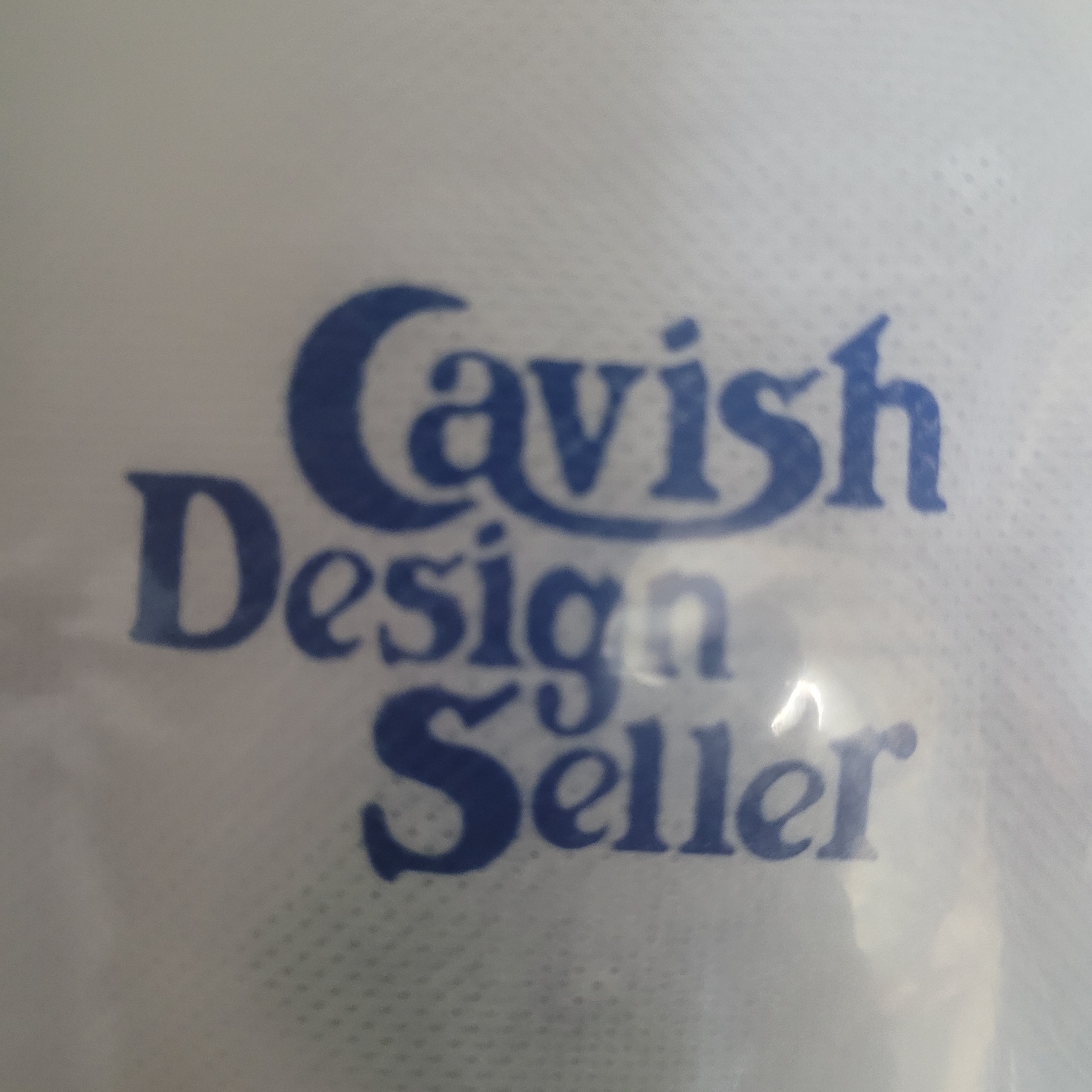 CAVISH Nice Trip Keyring Clear 착용 스타일