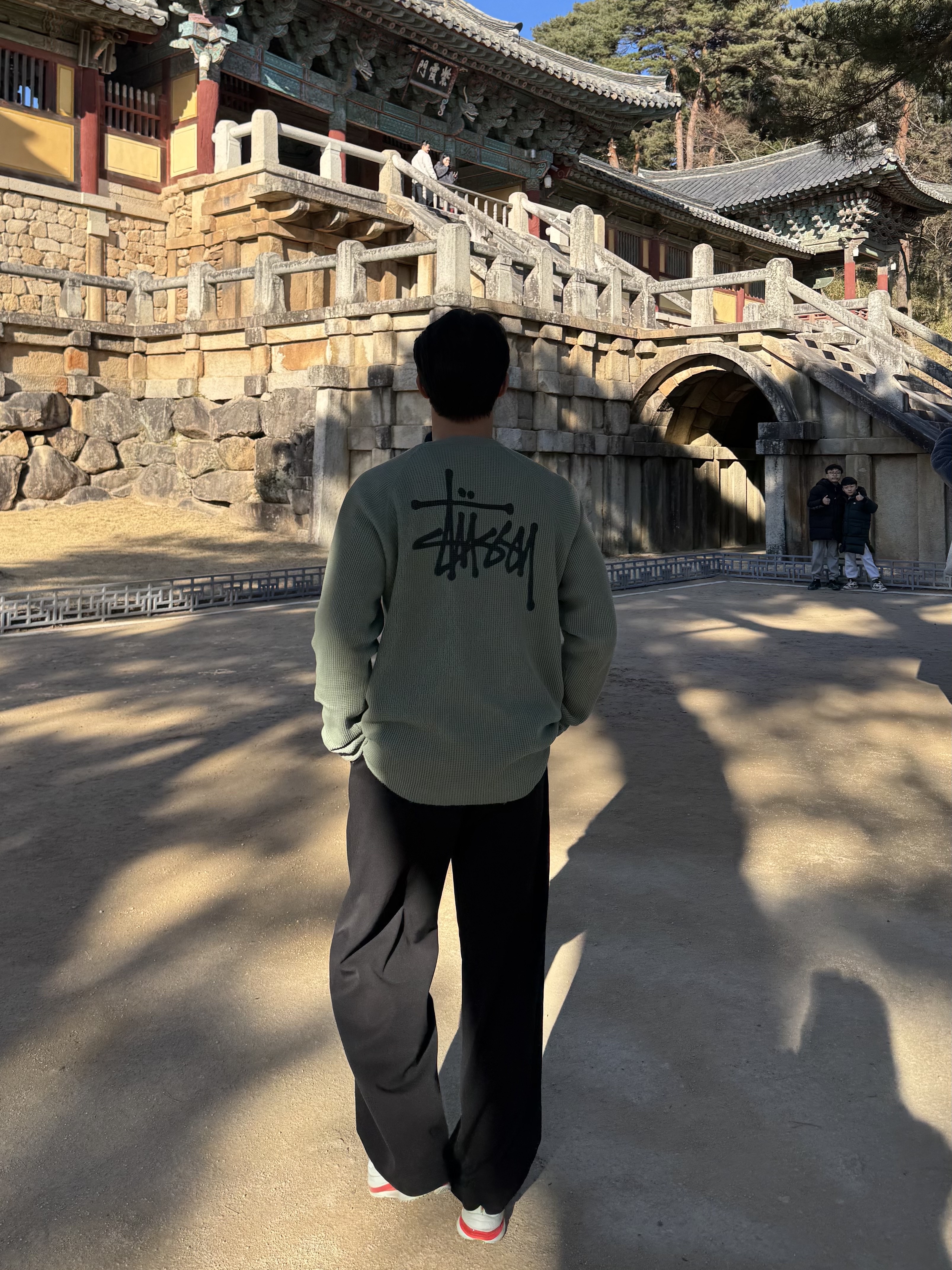 Stussy Basic Thermal Sage, Nike Pegasus Premium Barely Green Bright Crimson 착용 스타일
