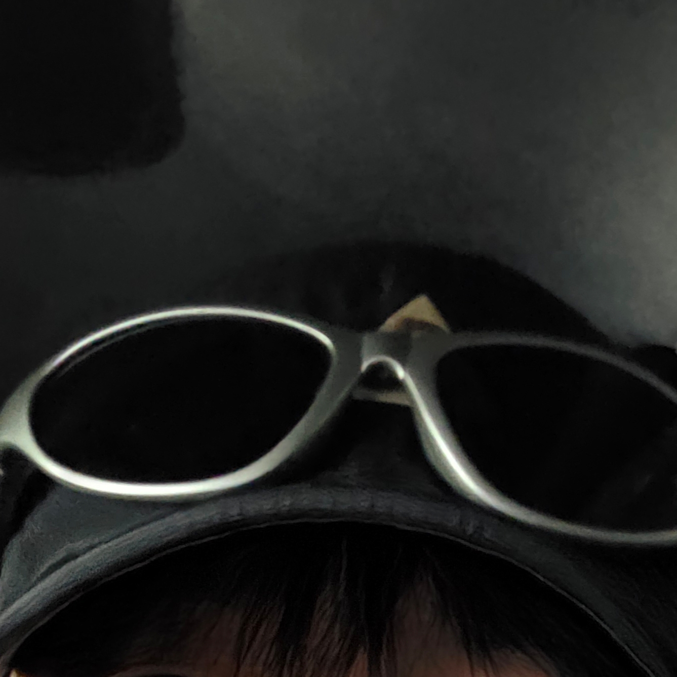 Montbell Trekking Glasses Silver Metallic Light Grey 착용 스타일