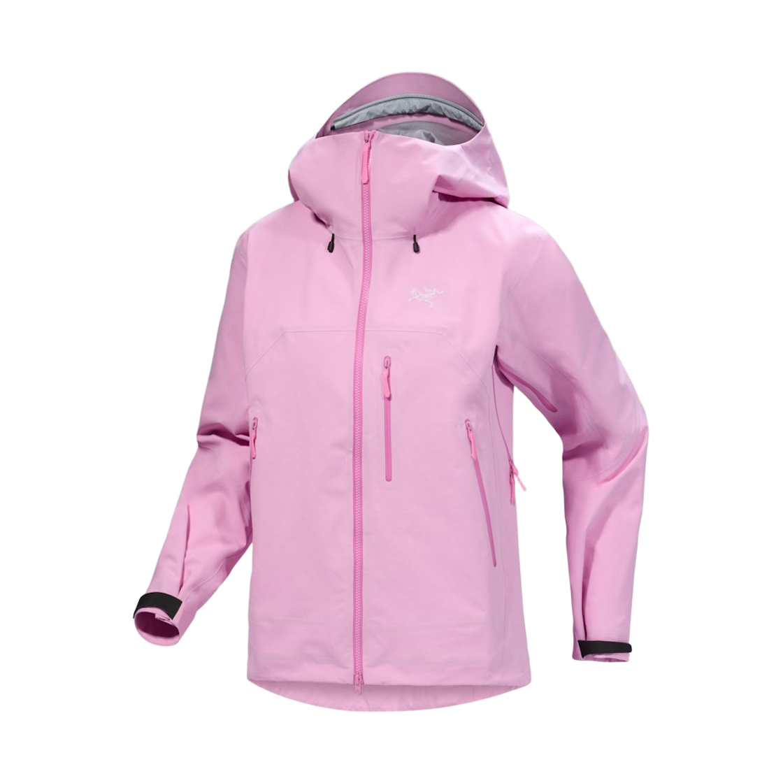 (W) 아크테릭스 베타 SV 자켓 Pineberry((W) Arc'terx Beta SV Jacket Pineberry) - 1