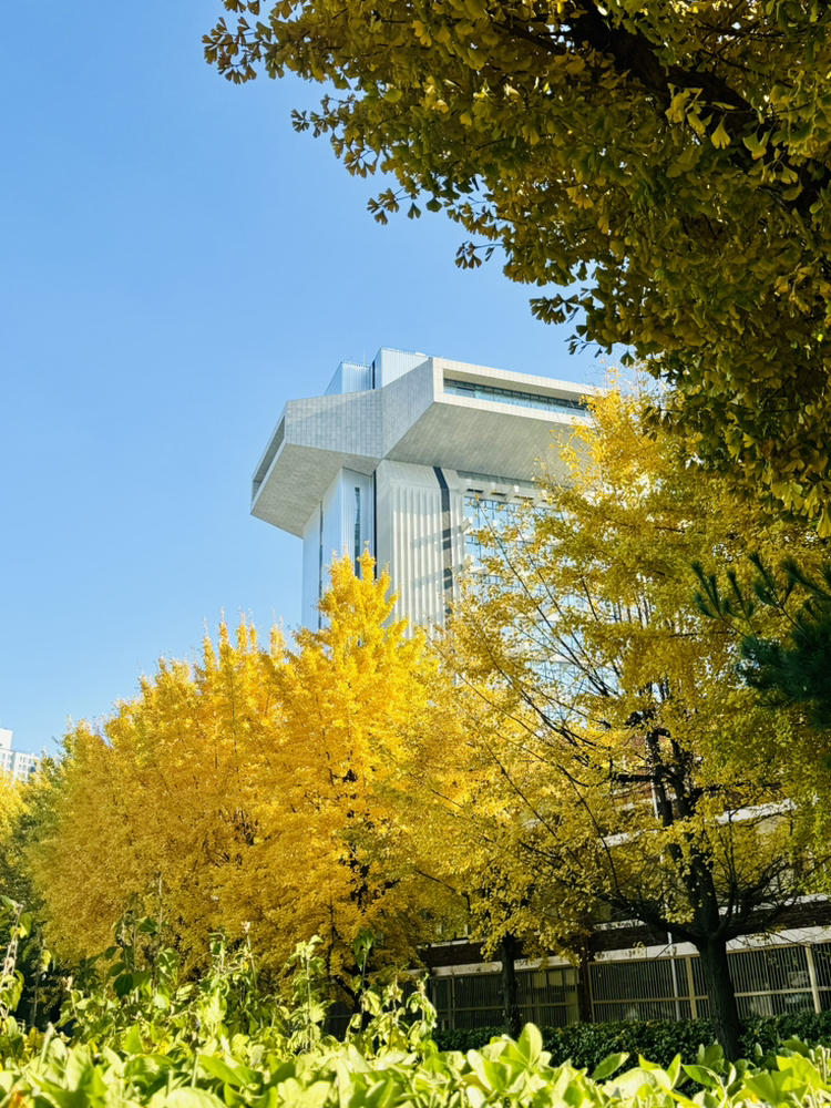 관심 유저 프로필 이미지