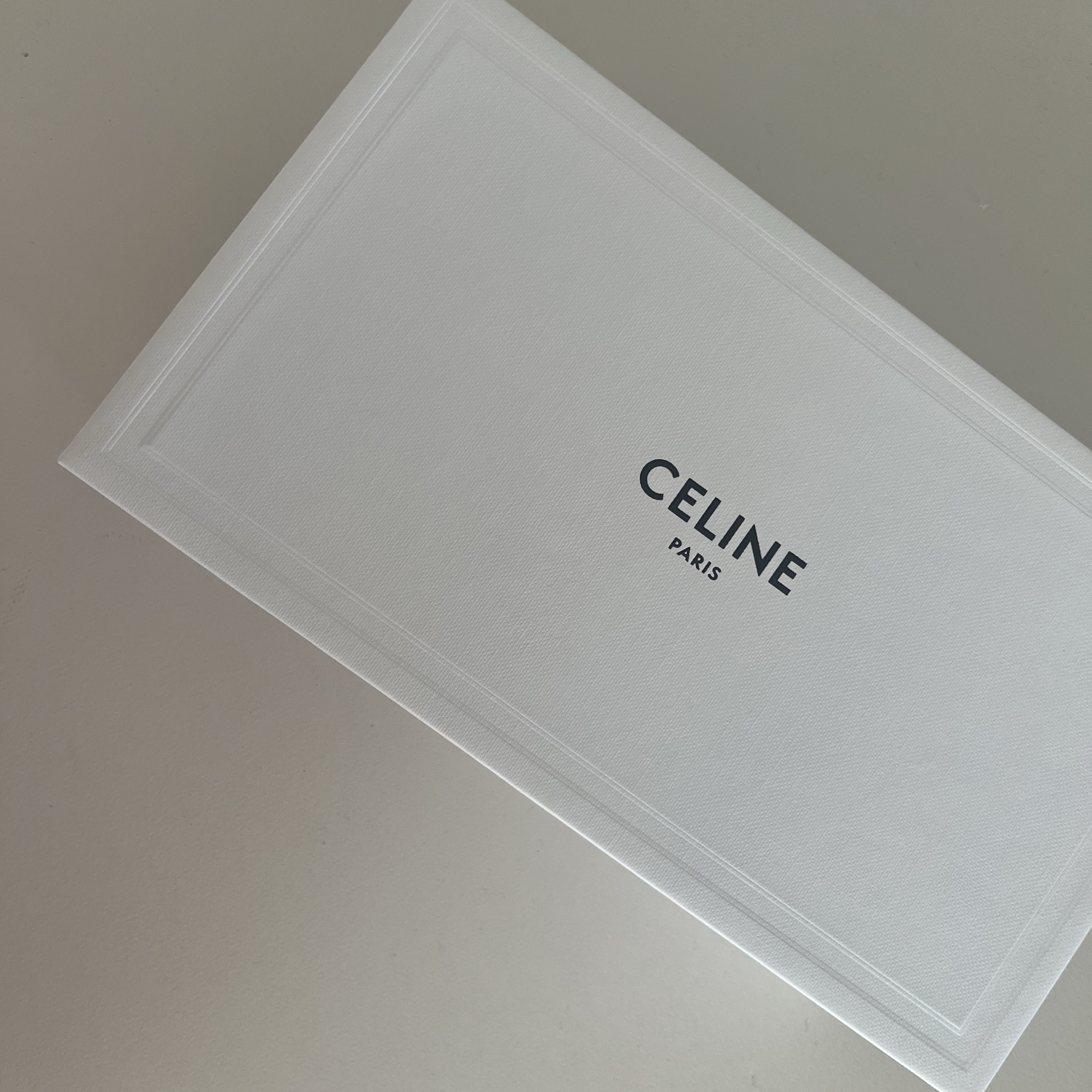 (W) Celine Triomphe 01 Sunglasses in Acetate Black 착용 스타일 - 4