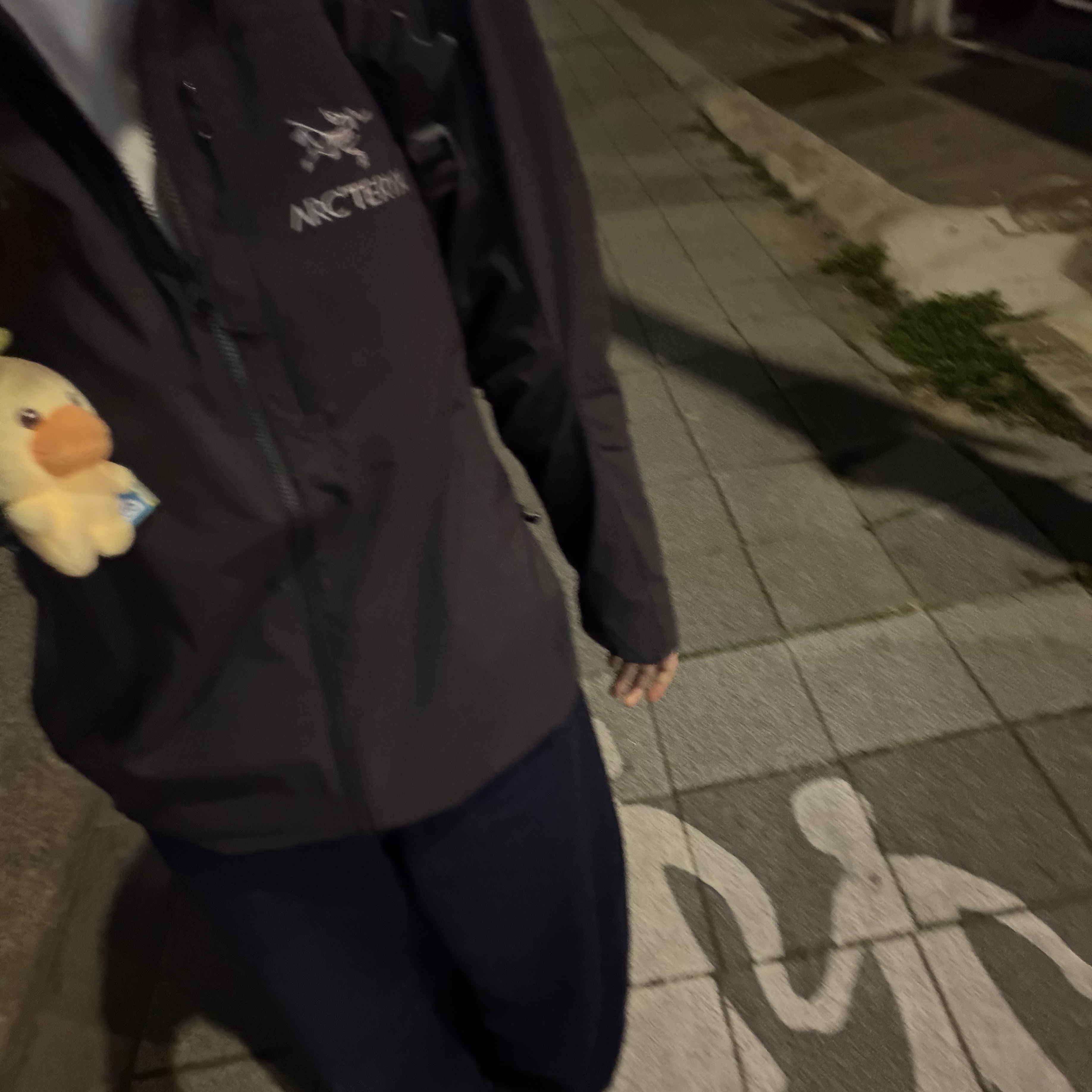 Arc'teryx Squamish Hoody Black 착용 스타일