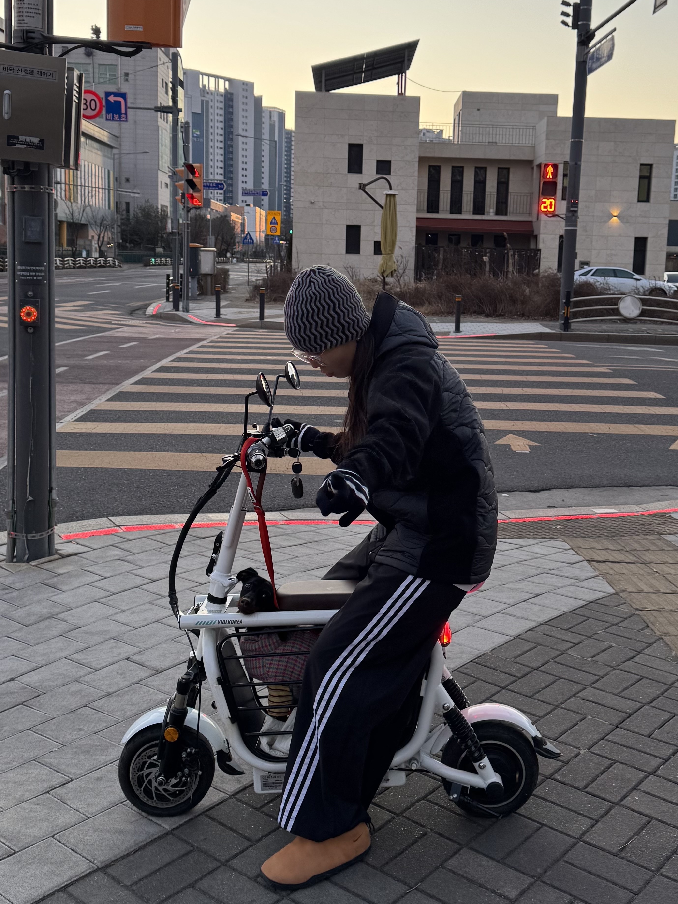(W) Adidas Adilenium Oversized Track Pants Black - KR Sizing, Saint James Colombier Gloves Navy Ecume 착용 스타일 - 2