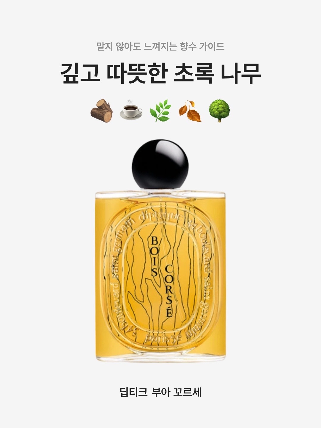 Diptyque Bois Corse Eau De Parfum 100ml 착용 스타일 - 1