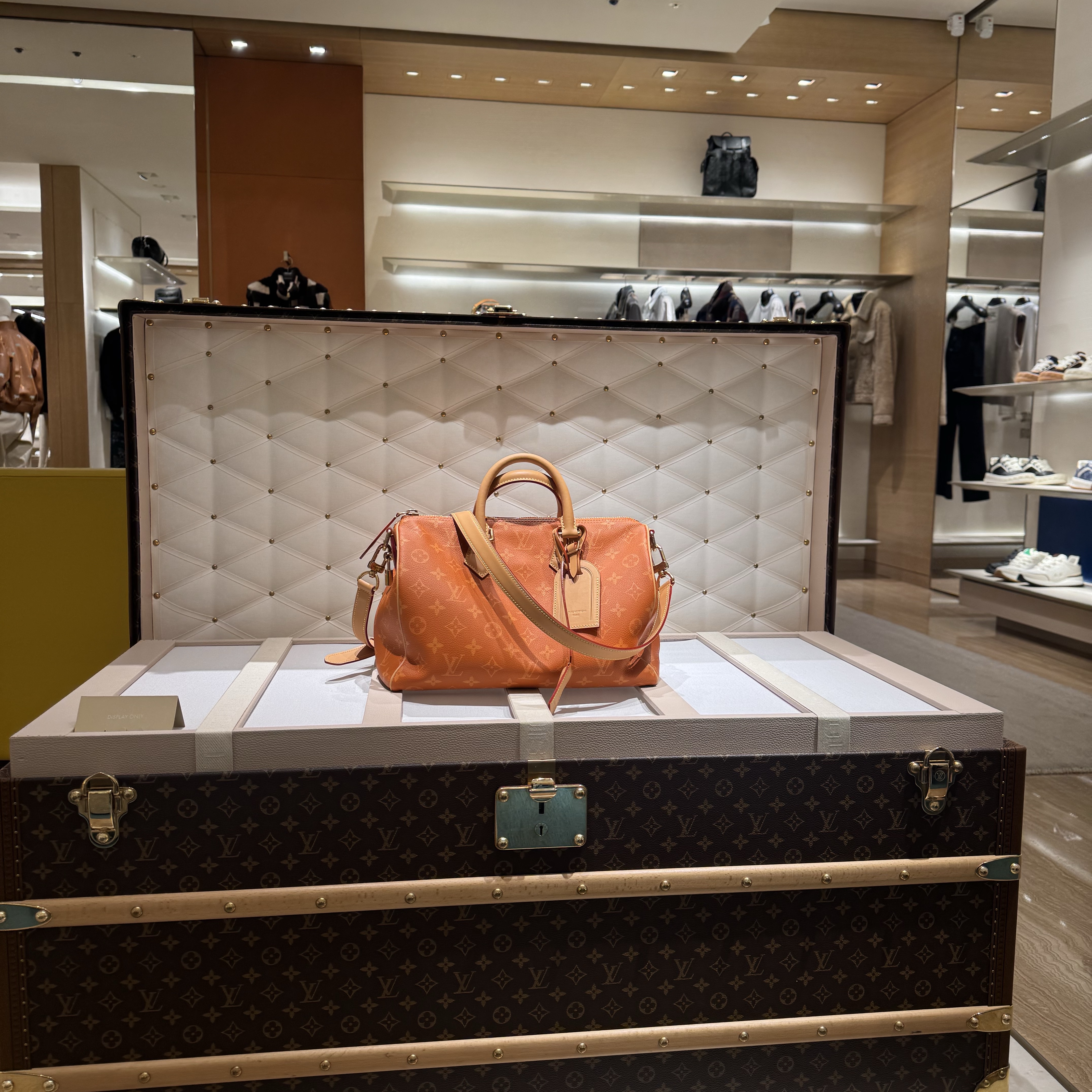 Louis Vuitton Speedy P9 Bandouliere 40 Gold 착용 스타일 - 3