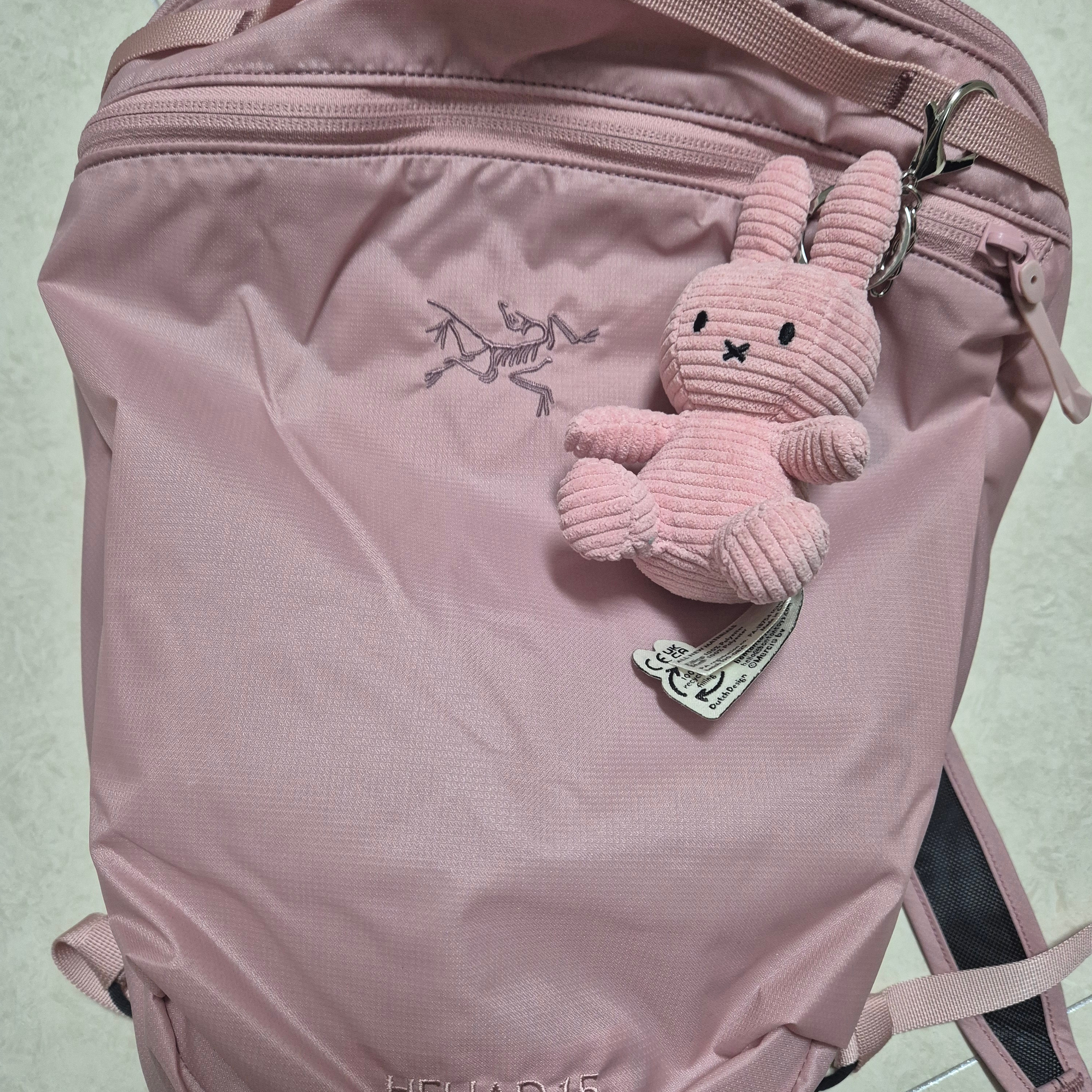 Arc'teryx Heliad 15 Backpack Bliss 착용 스타일 - 1