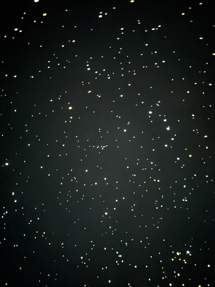 관심 유저 프로필 이미지