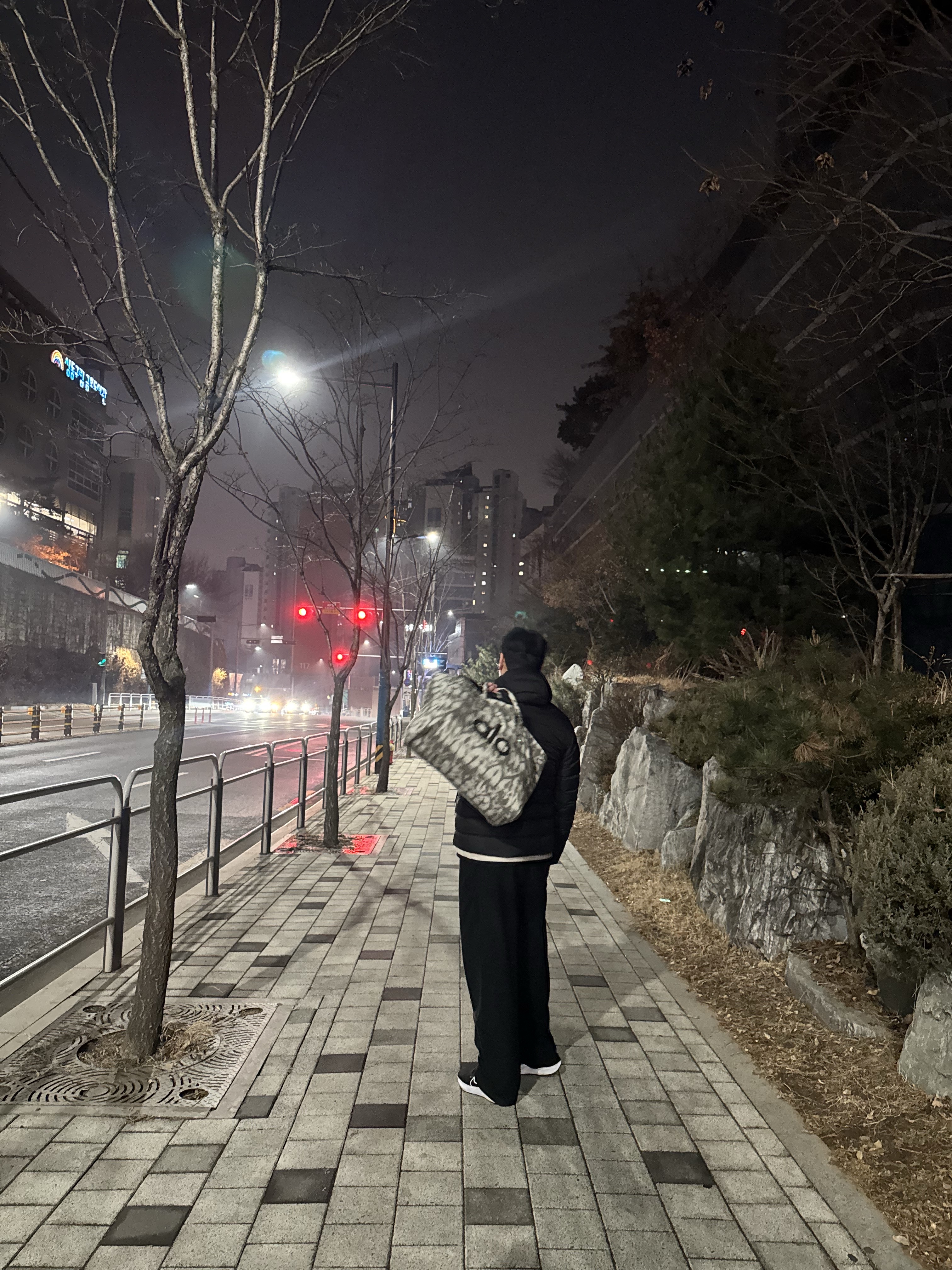 Alo Yoga Iconic Shopper Tote Bag Grey Tiedye, Musinsa Standard City Leisure Hooded Light Down Jacket Black 착용 스타일 - 5