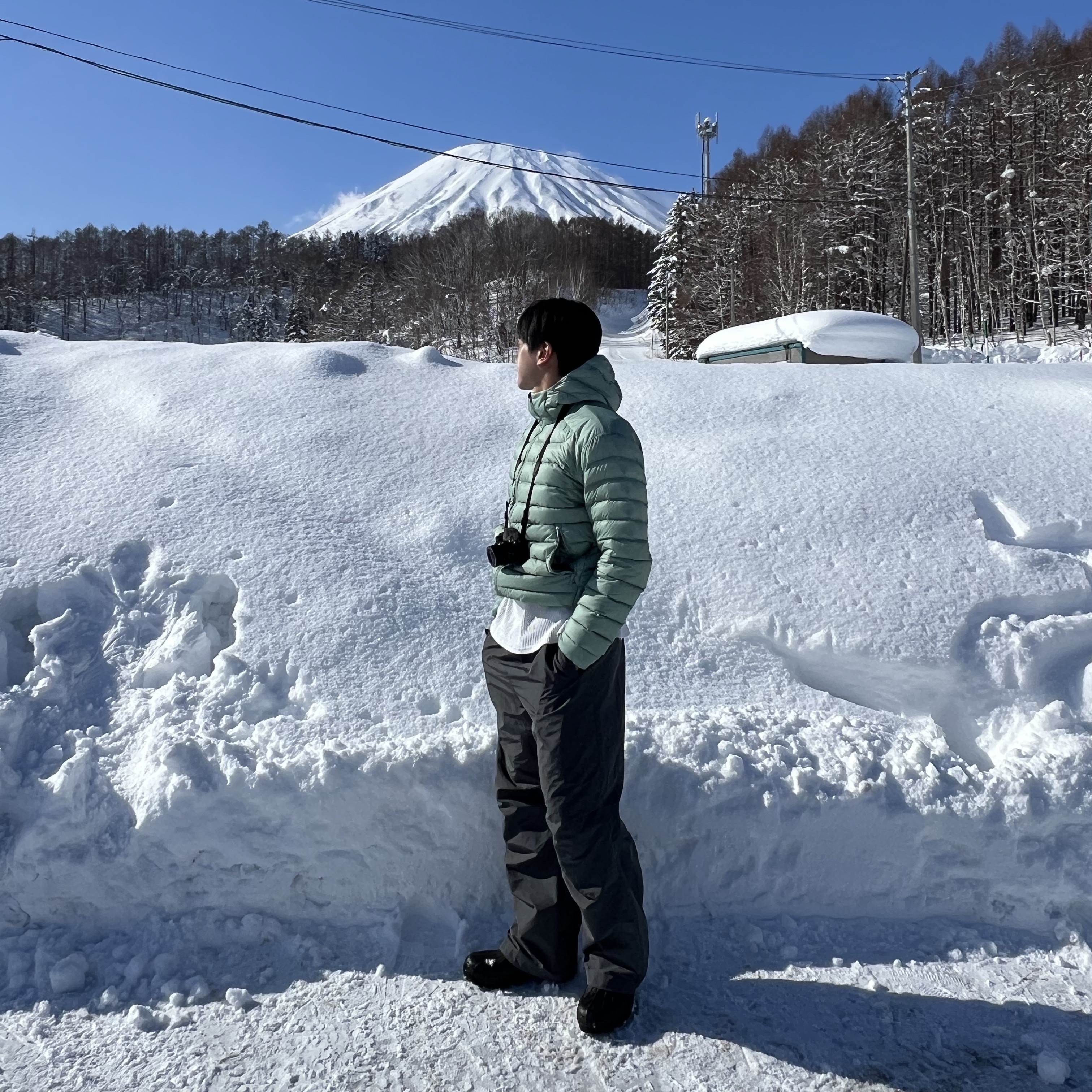 Arc'teryx Cerium Hoody Stone Green 착용 스타일
