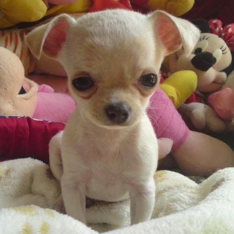 관심 유저 프로필 이미지