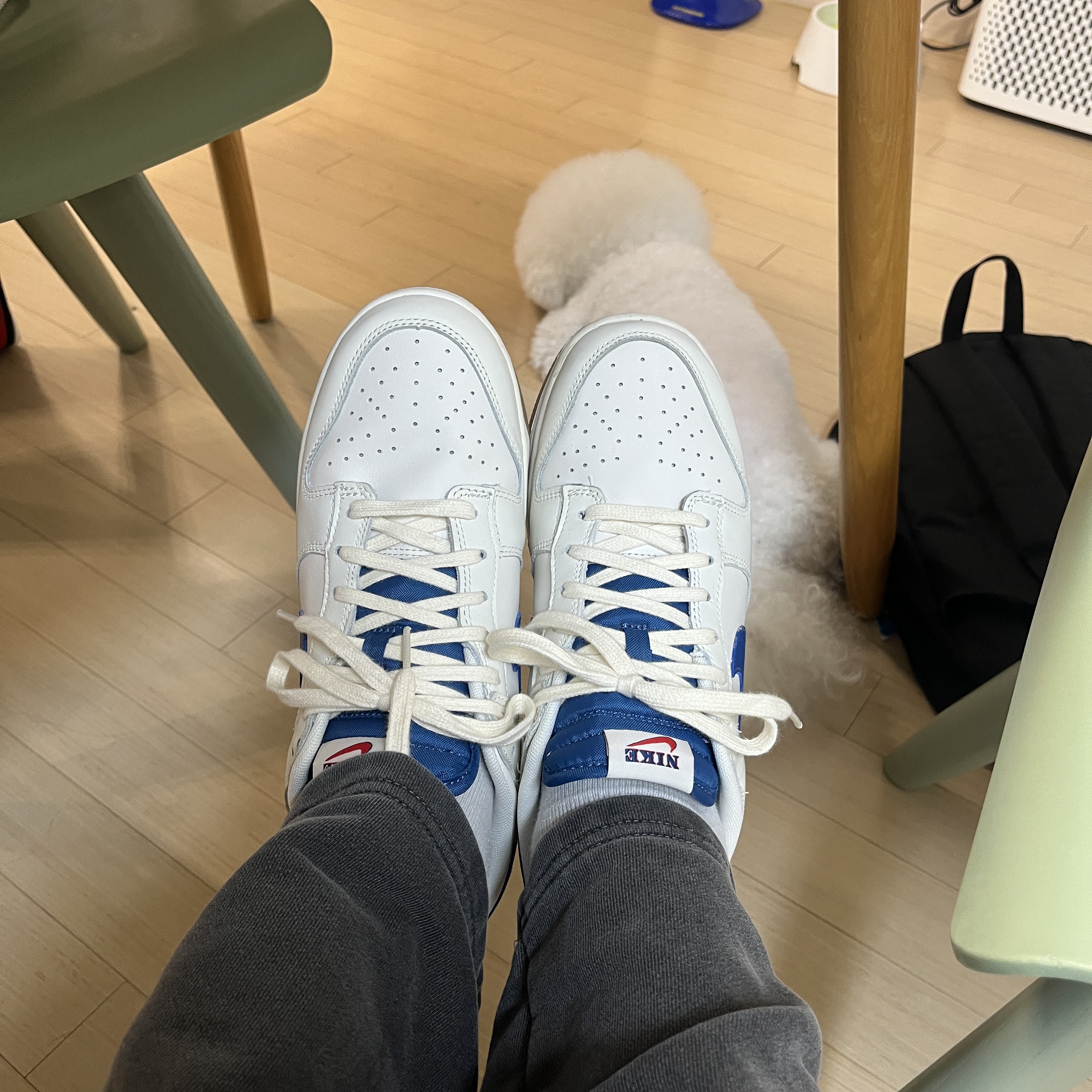 Nike Dunk Low SE Sail Dark Marina Blue 착용 스타일 - 1