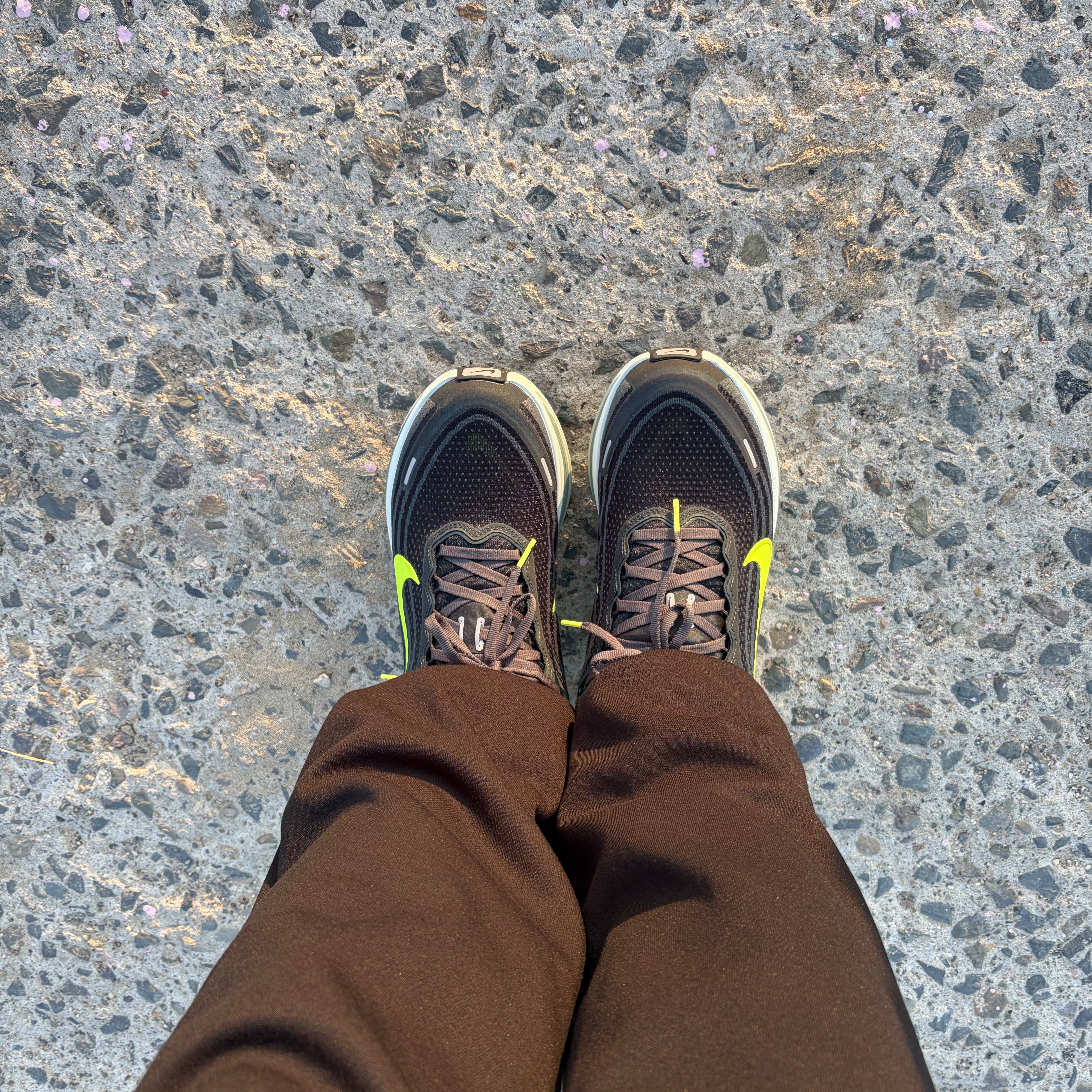 Nike Vomero Plus Seaweed Cannon 착용 스타일 - 4