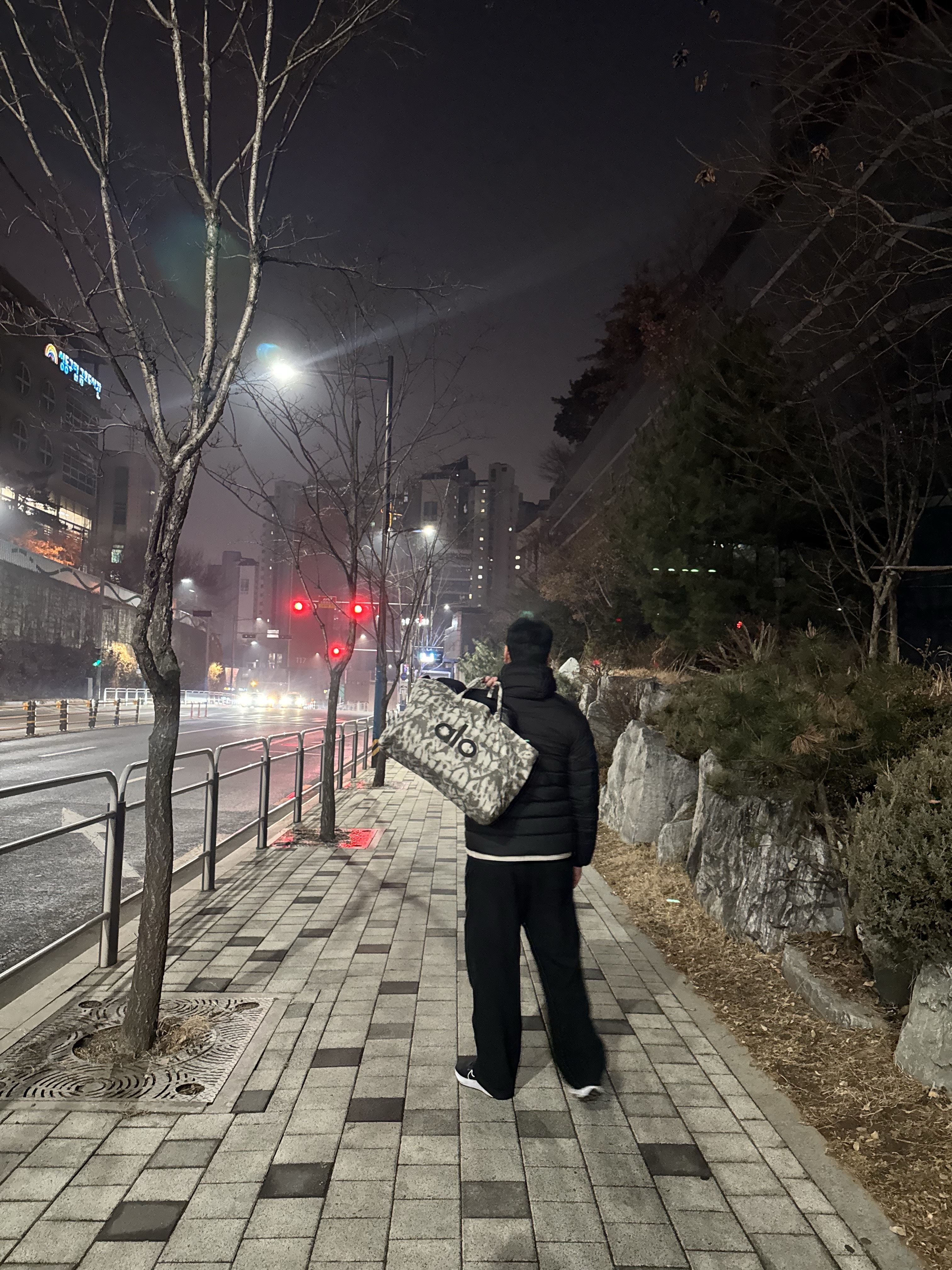 Alo Yoga Iconic Shopper Tote Bag Grey Tiedye, Musinsa Standard City Leisure Hooded Light Down Jacket Black 착용 스타일 - 4