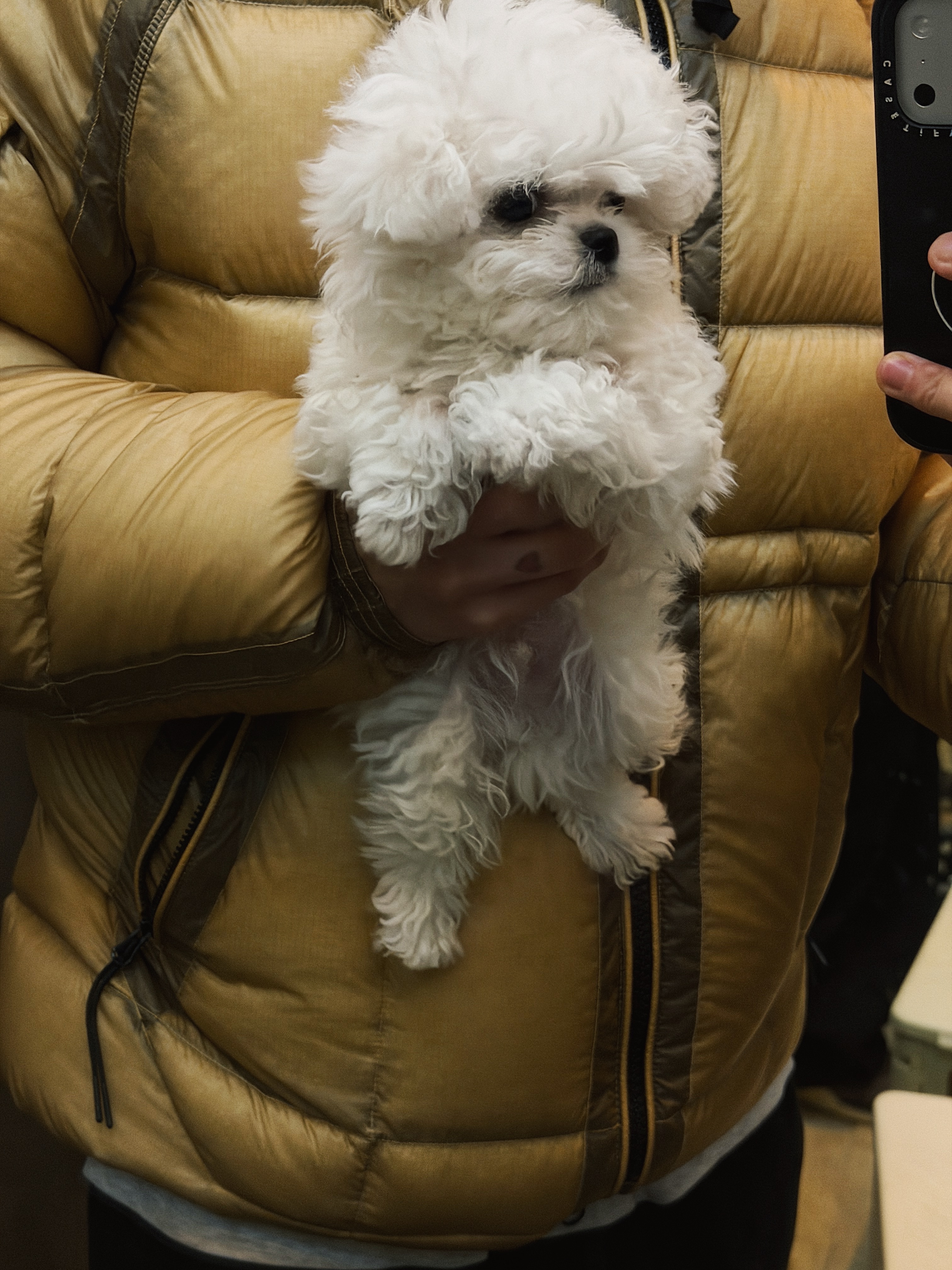 Supreme Corduroy S Logo 6-Panel Dark Brown - 24FW, Casetify x Fragment x God Selection XXX iPhone OG Logo Magsafe Impact Case Matte Black 착용 스타일 - 3