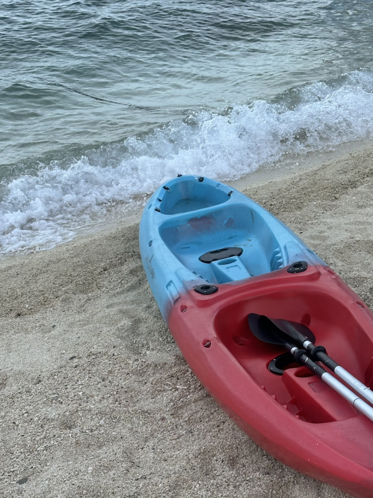 관심 유저 프로필 이미지