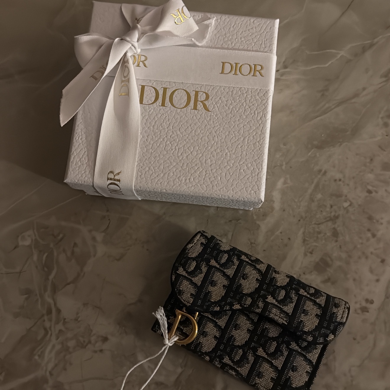 Dior Saddle Flap Card Holder Blue Dior Oblique Jacquard 착용 스타일 - 1