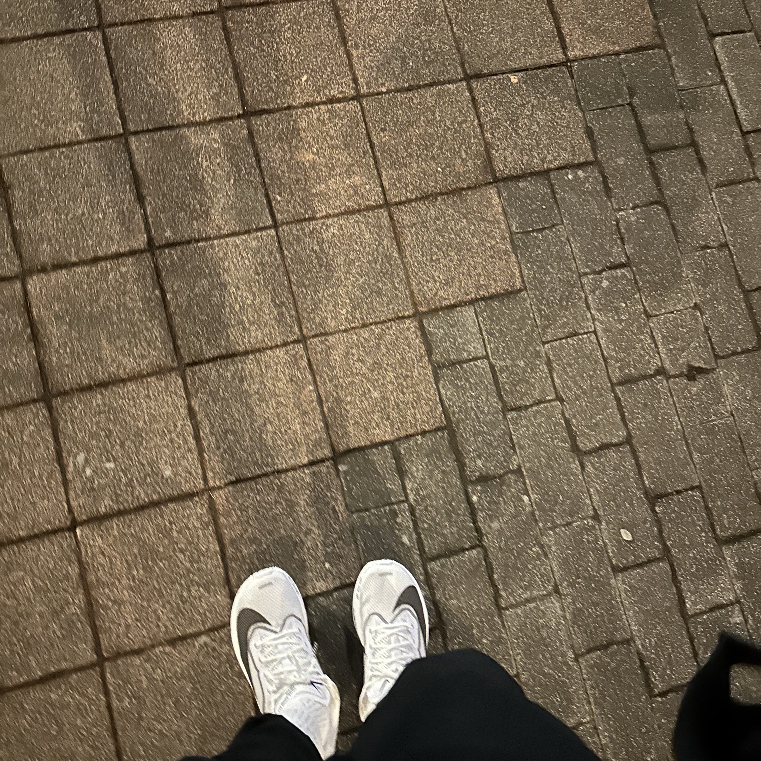 Nike Zoom Fly 6 White Smoke Grey 착용 스타일