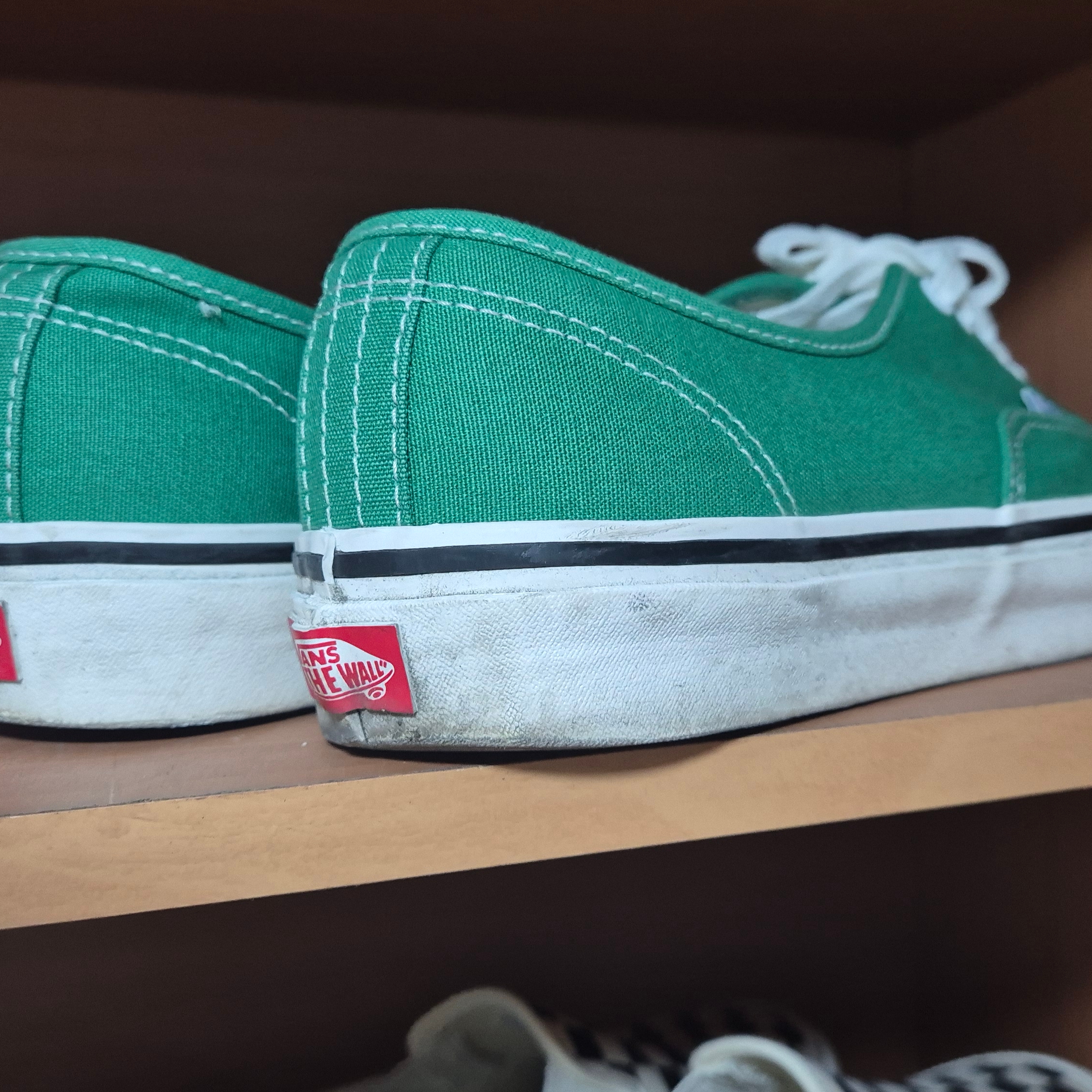 Vans Authentic 44 DX Anaheim Factory Emerald Green 착용 스타일