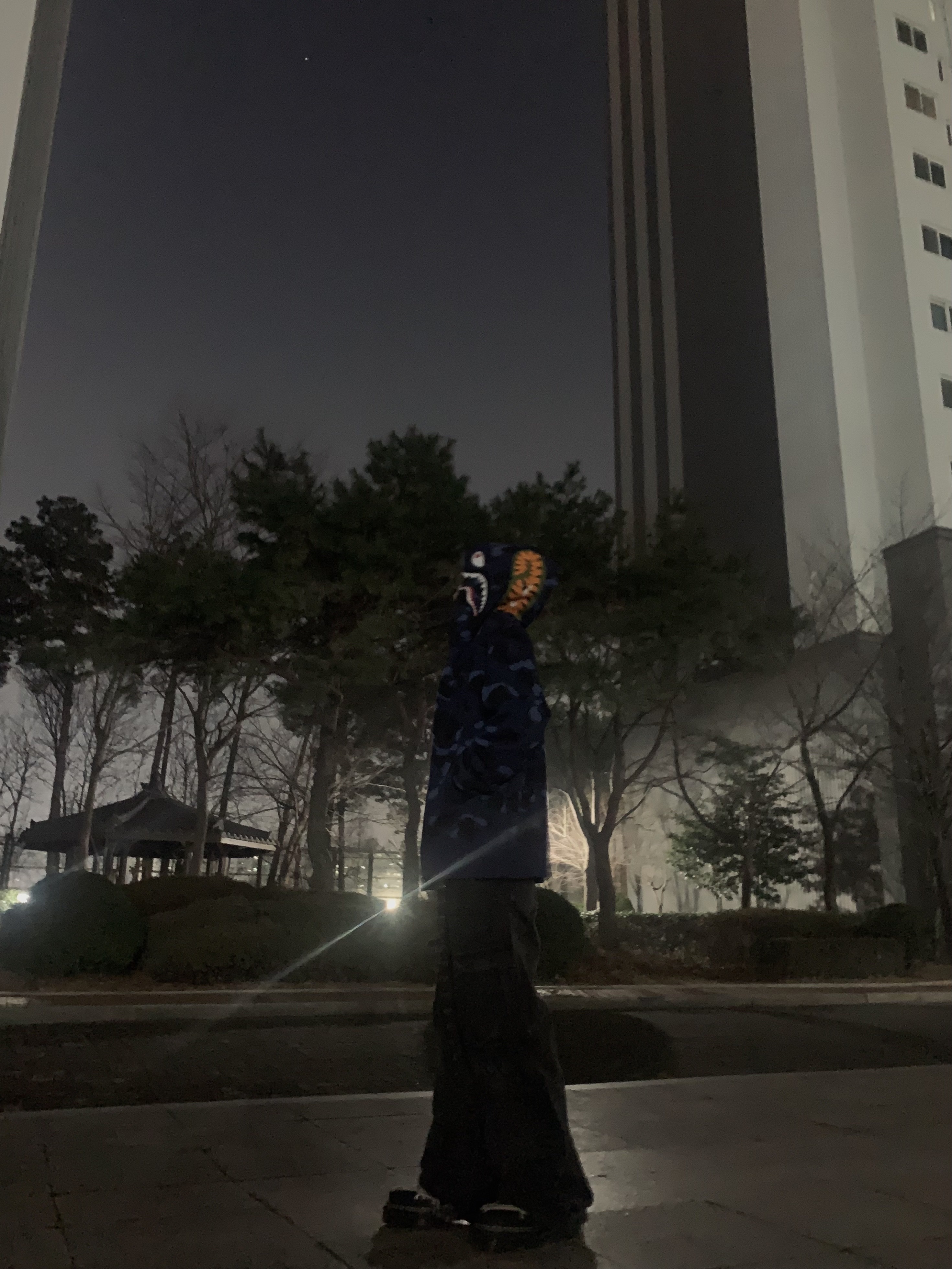 BAPE Color Camo Shark Full Zip Hoodie Navy, Dr. Martens x Rick Owens 1460 Quad Sole Mega Lace Boots Black 착용 스타일 - 1