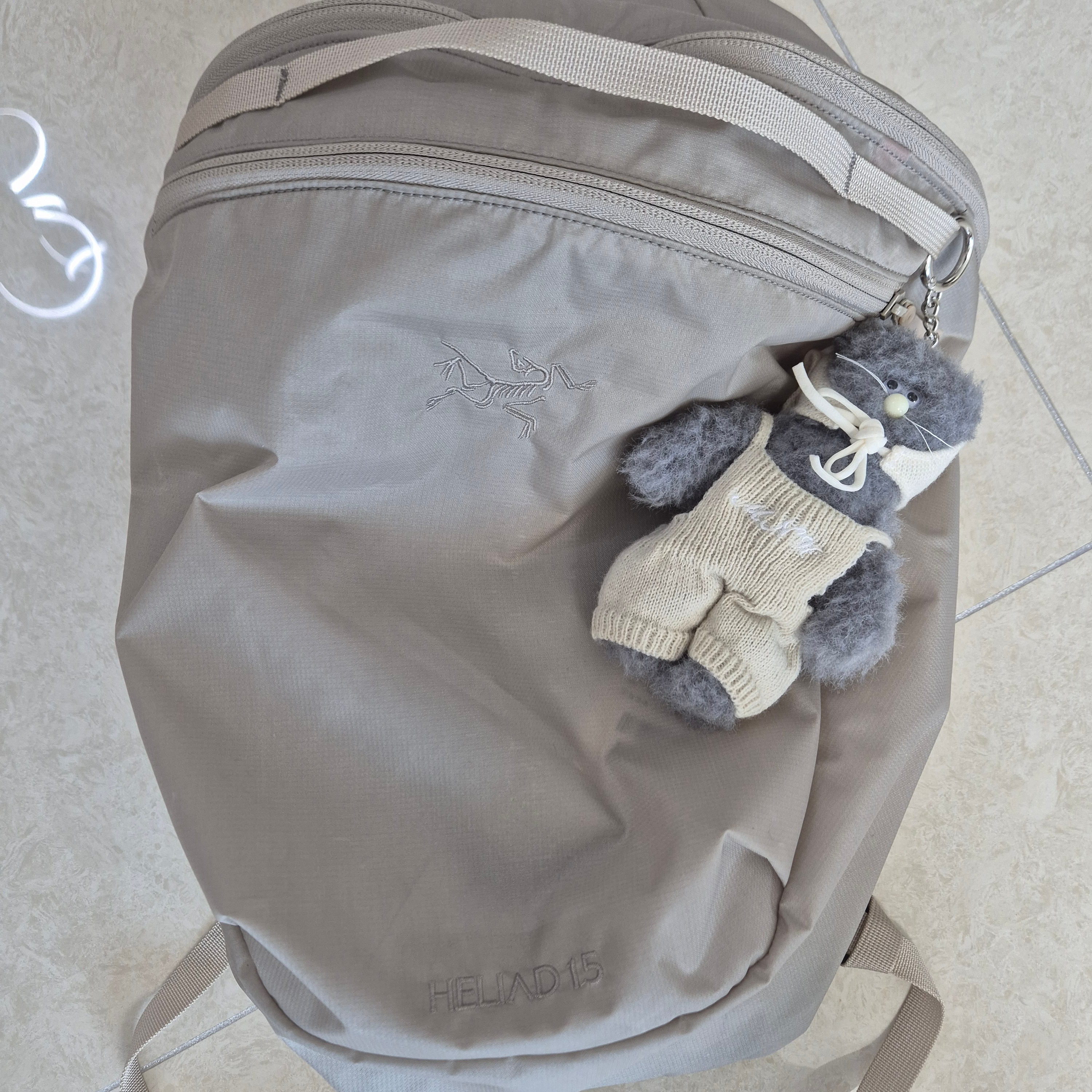 Arc'teryx Heliad 15 Backpack Rune 착용 스타일