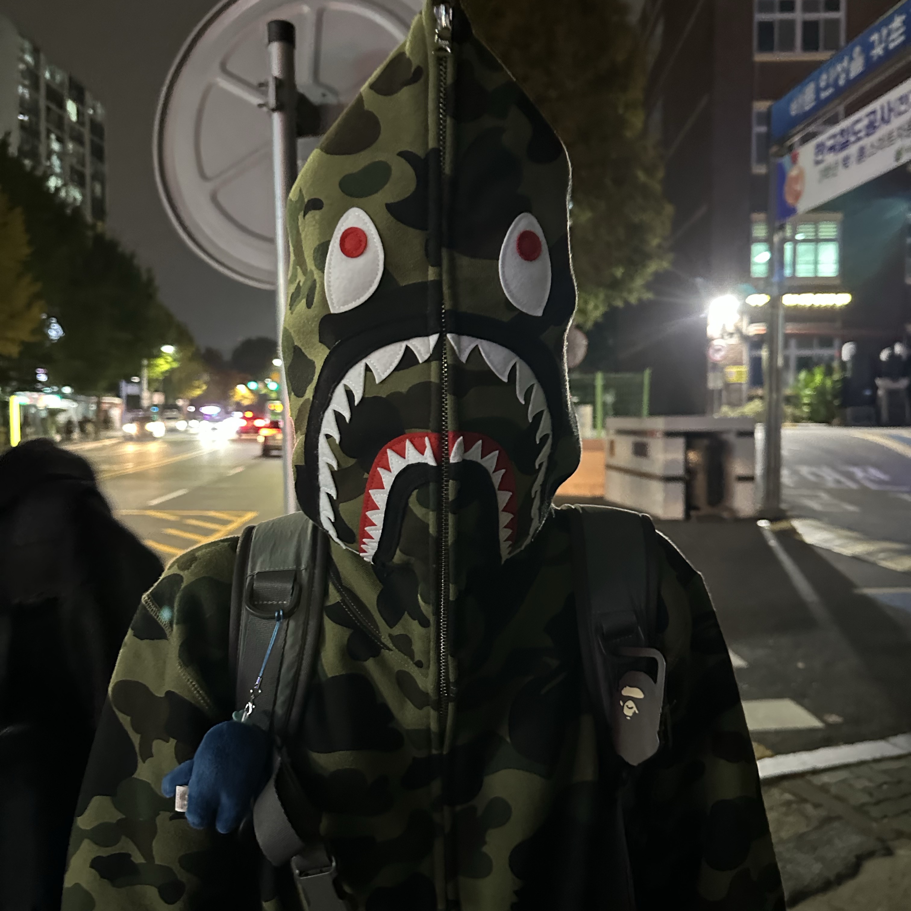 BAPE PONR 1st Camo 2nd Shark Full Zip Hoodie Green 착용 스타일 - 2